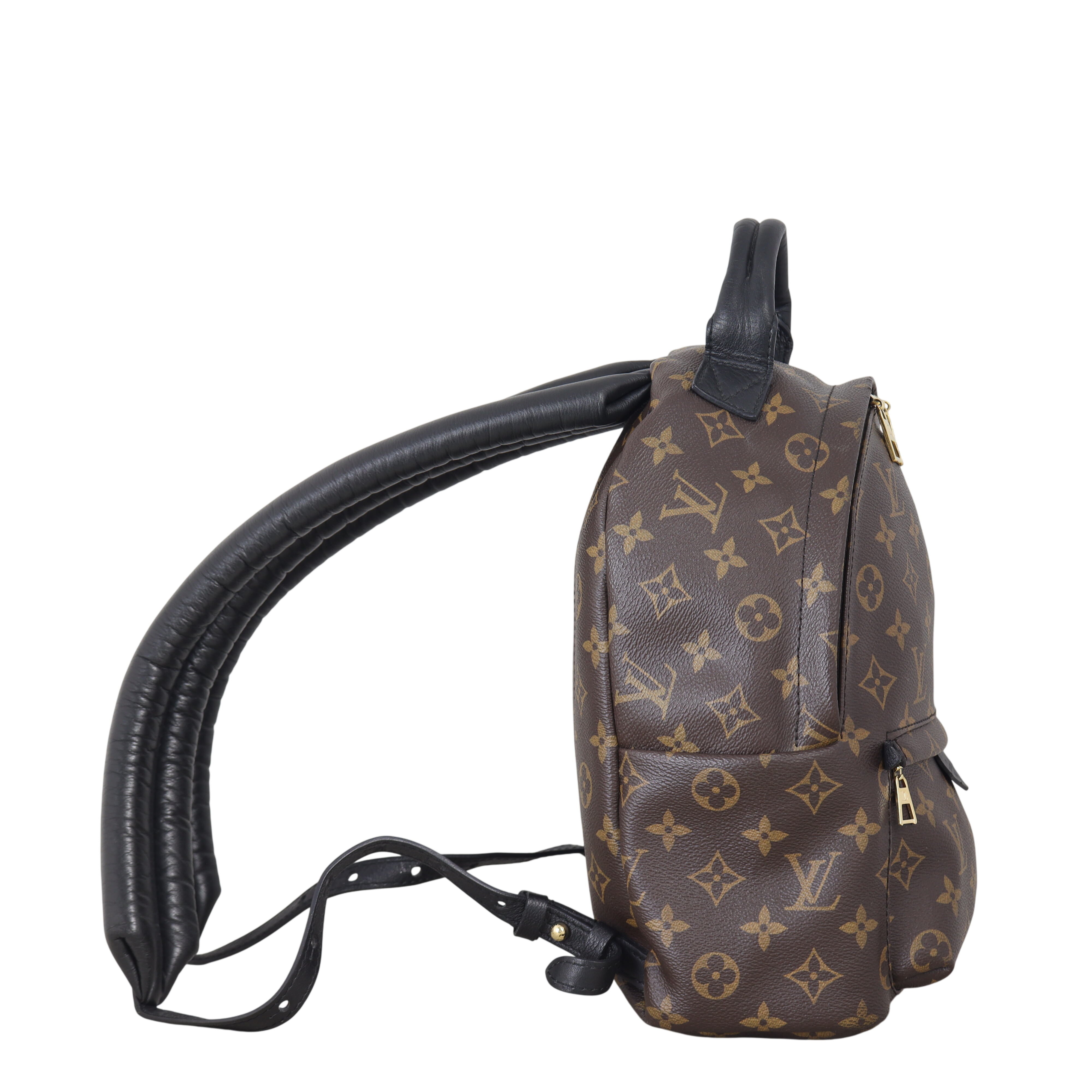 Louis Vuitton Palm Springs Backpack PM Monogram