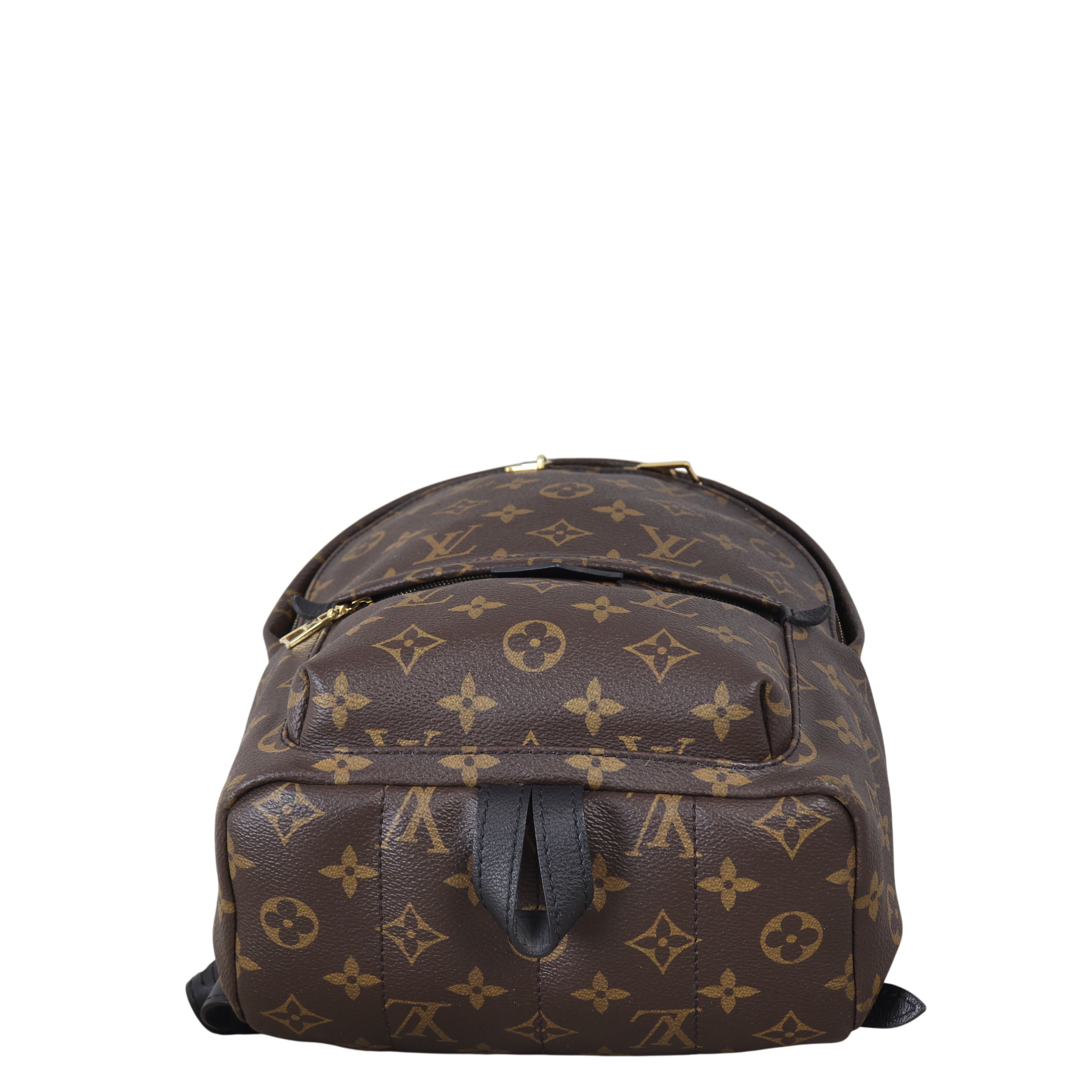 Louis Vuitton Palm Springs Backpack PM Monogram