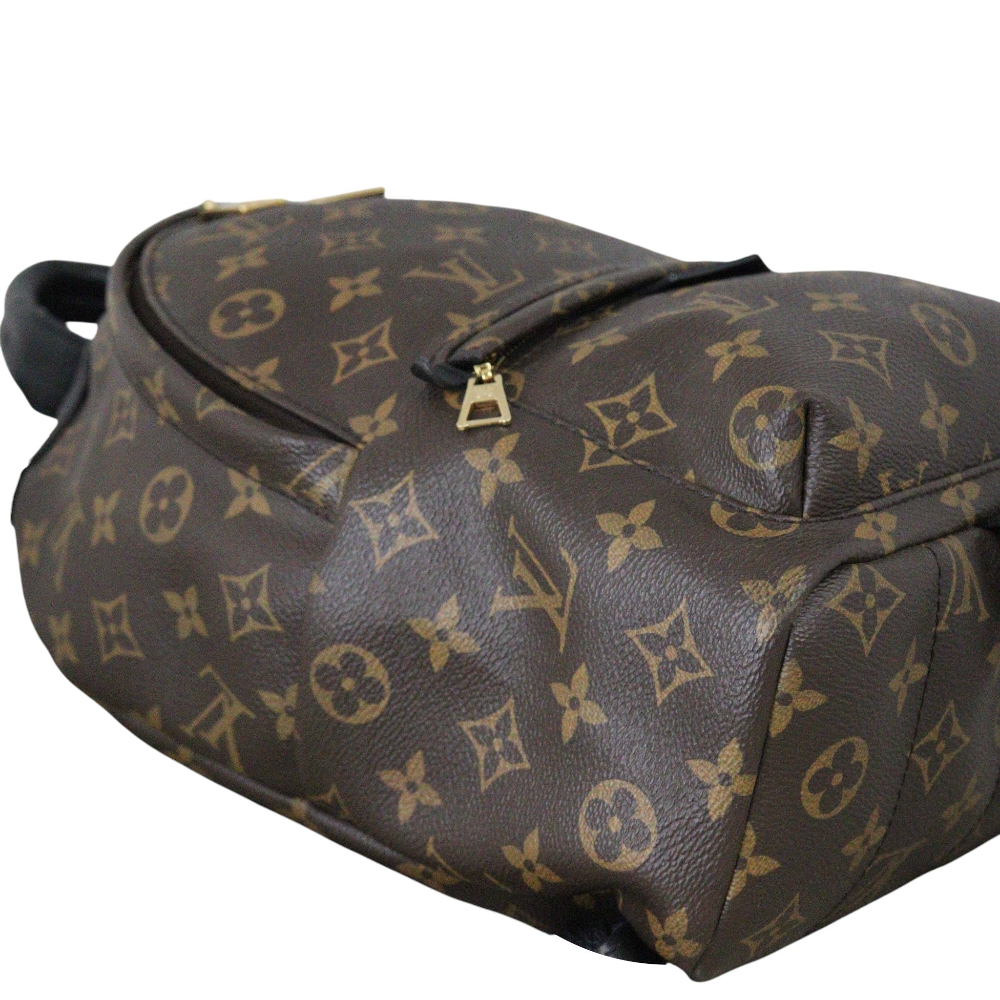 Louis Vuitton Palm Springs Backpack PM Monogram