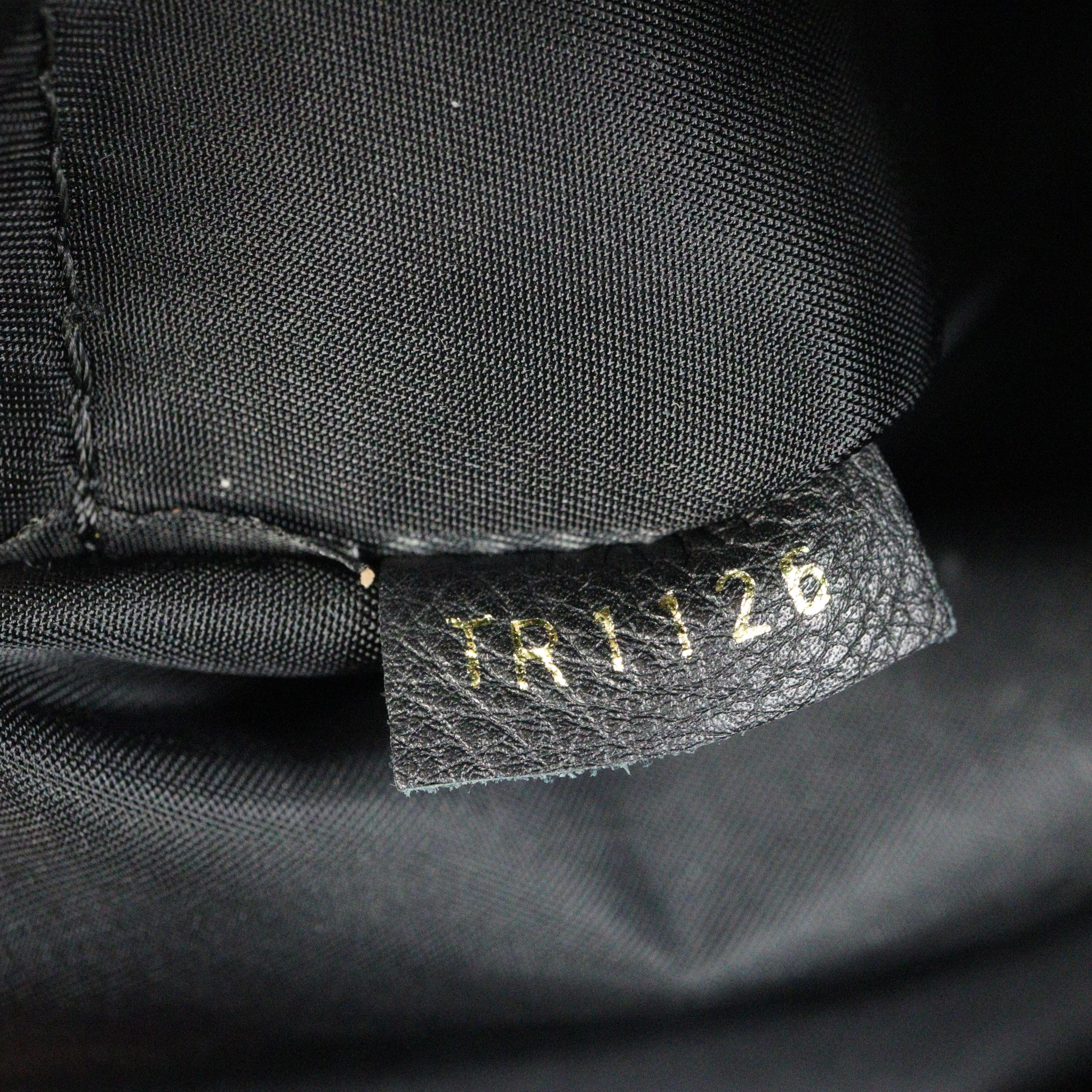 Louis Vuitton Palm Springs Backpack PM Monogram