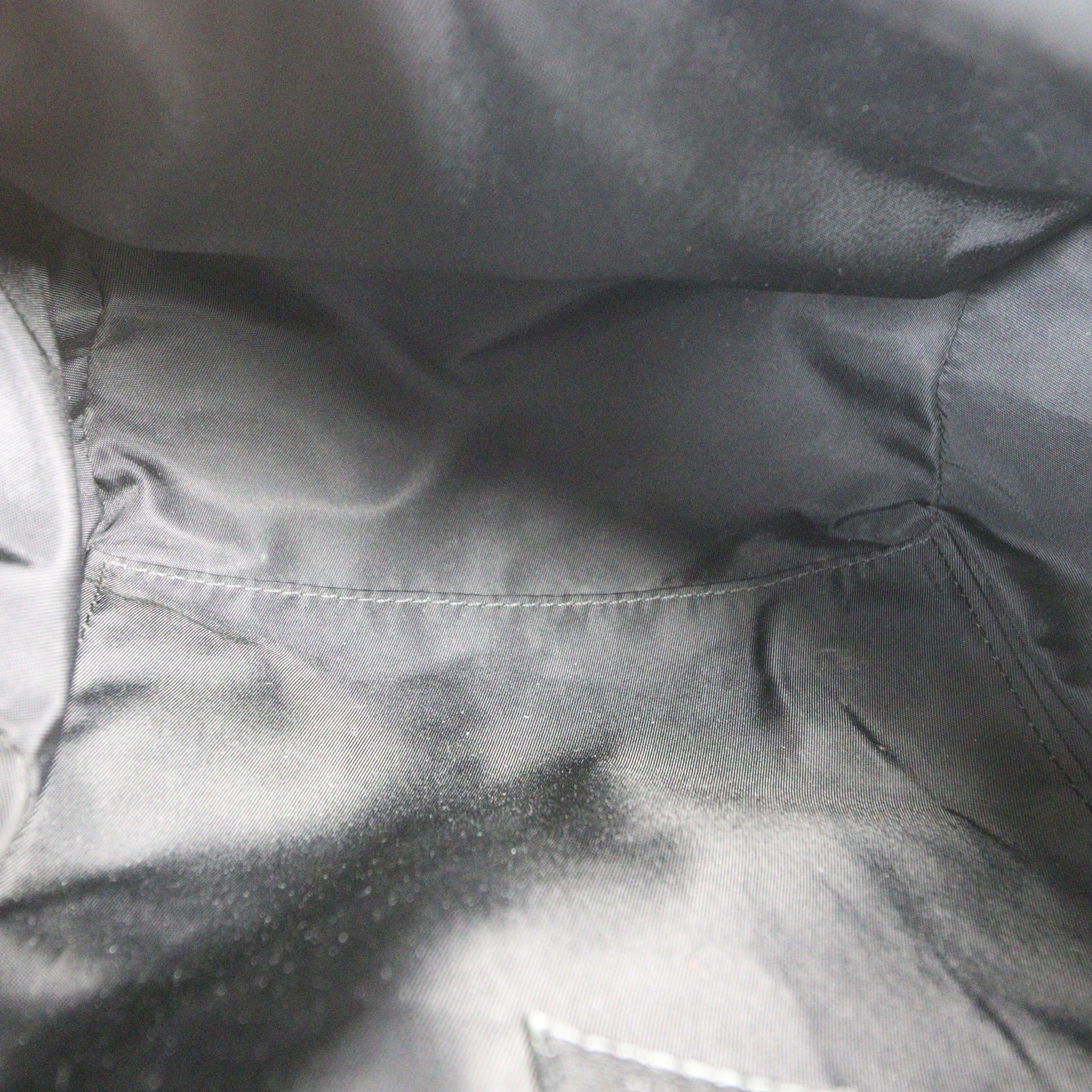 Louis Vuitton Palm Springs Backpack PM Monogram