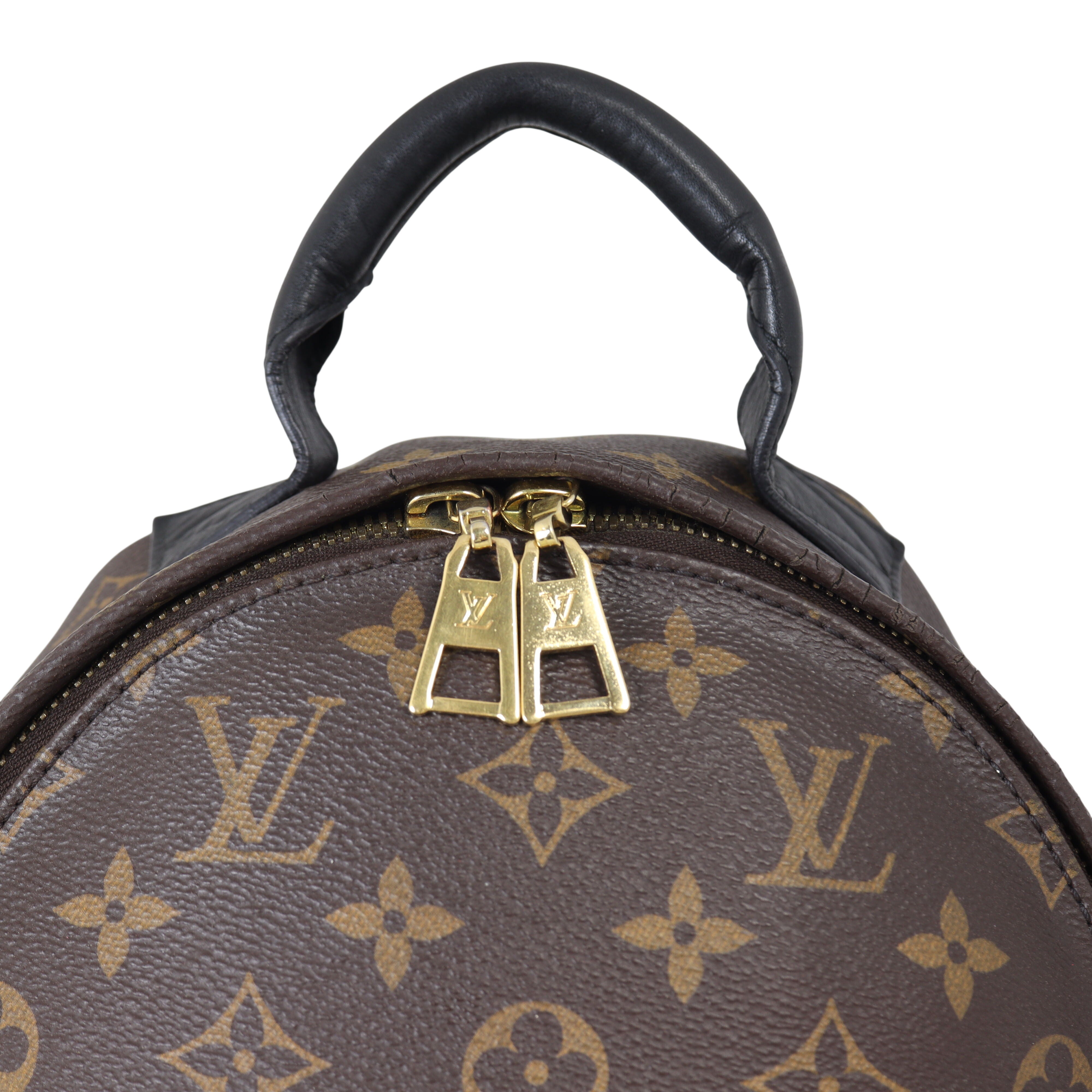 Louis Vuitton Palm Springs Backpack PM Monogram