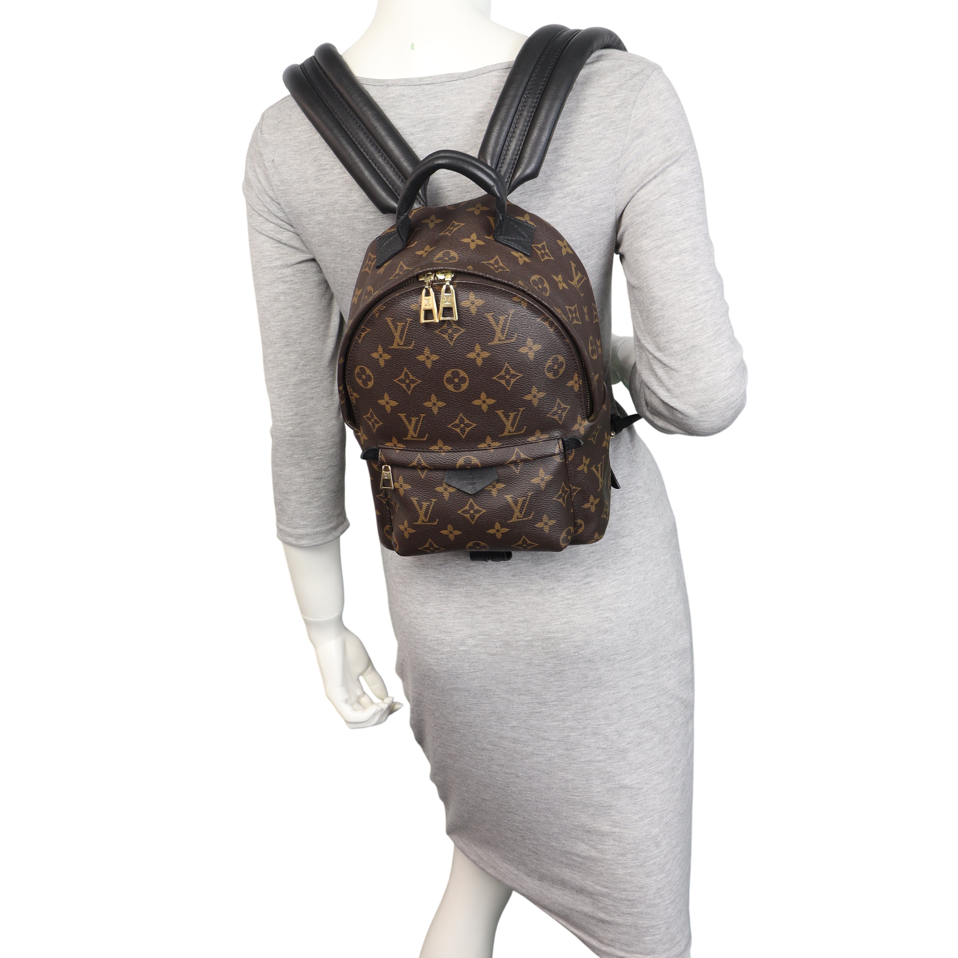 Louis Vuitton Palm Springs Backpack PM Monogram