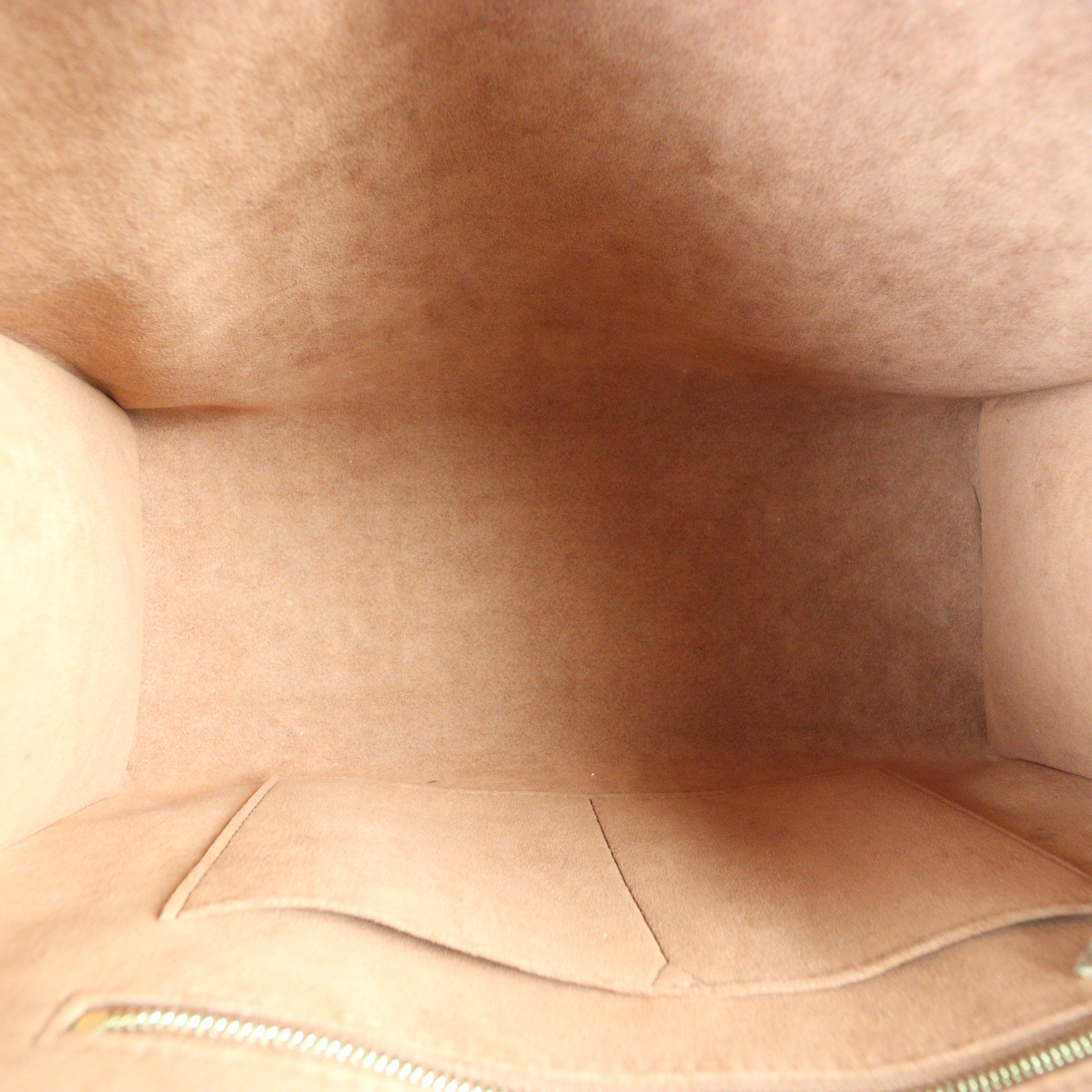 Louis Vuitton OnTheGo MM Wild at Heart Monogram Empreinte Giant