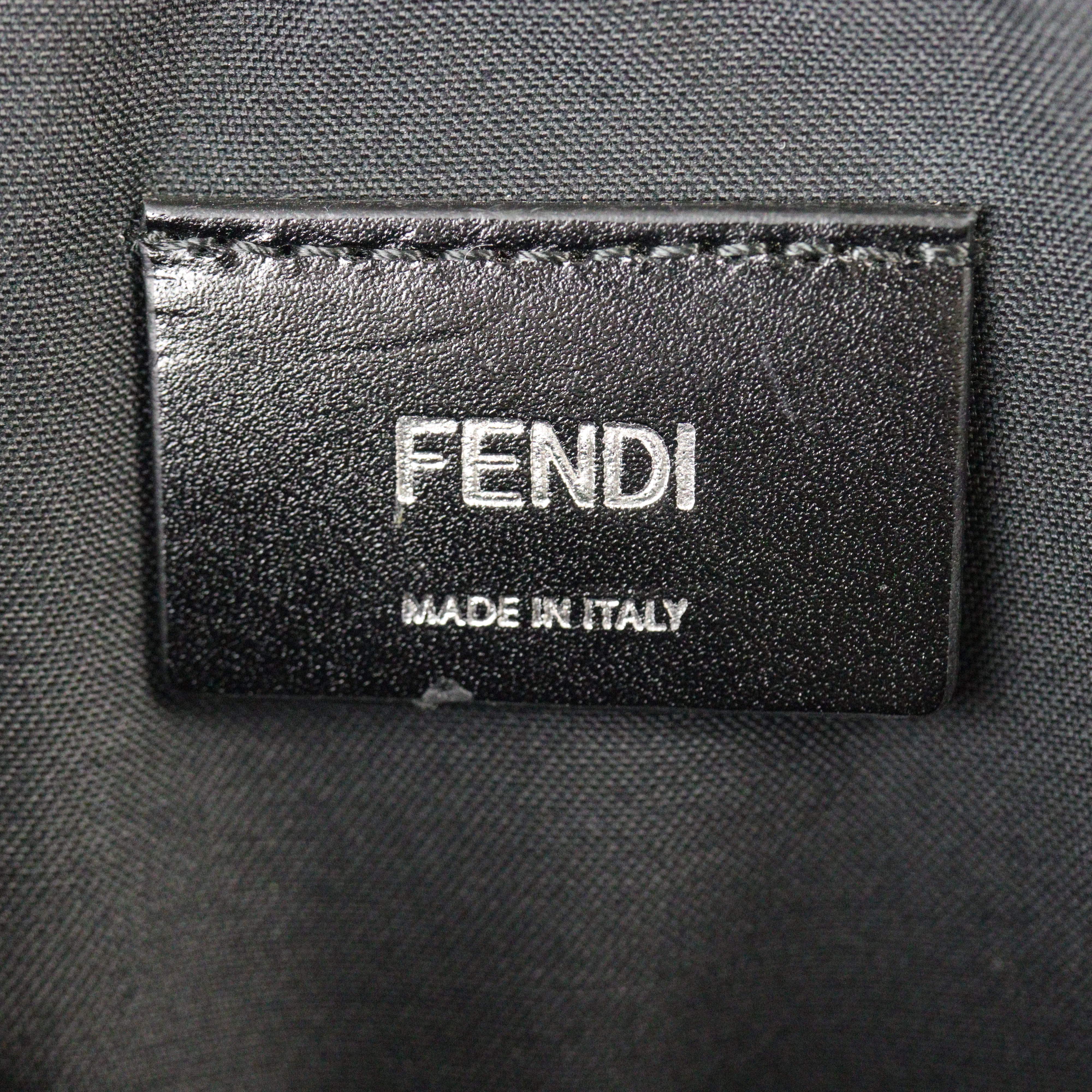 Fendi Roma FF Camera Bag