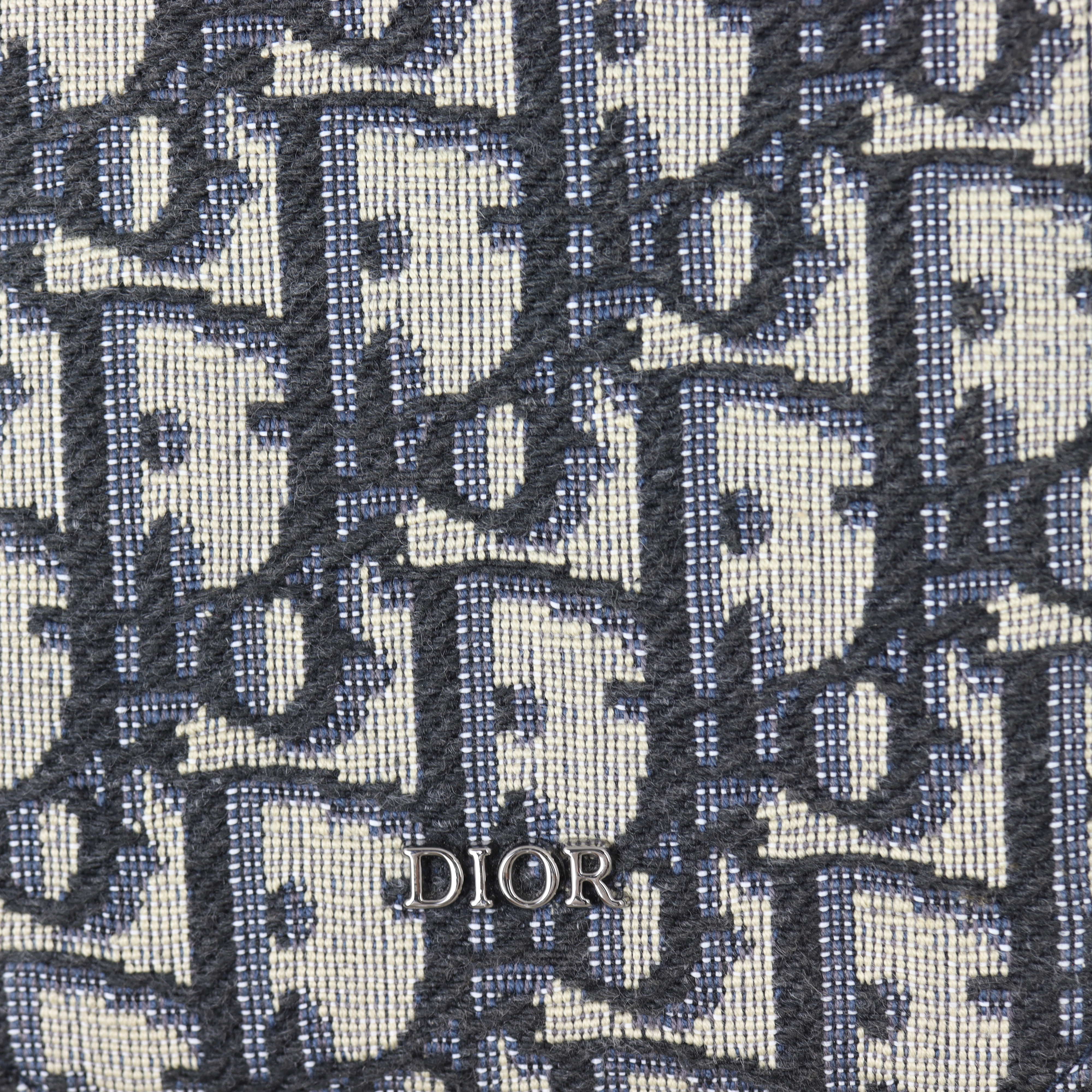 Dior Phone Pouch Oblique