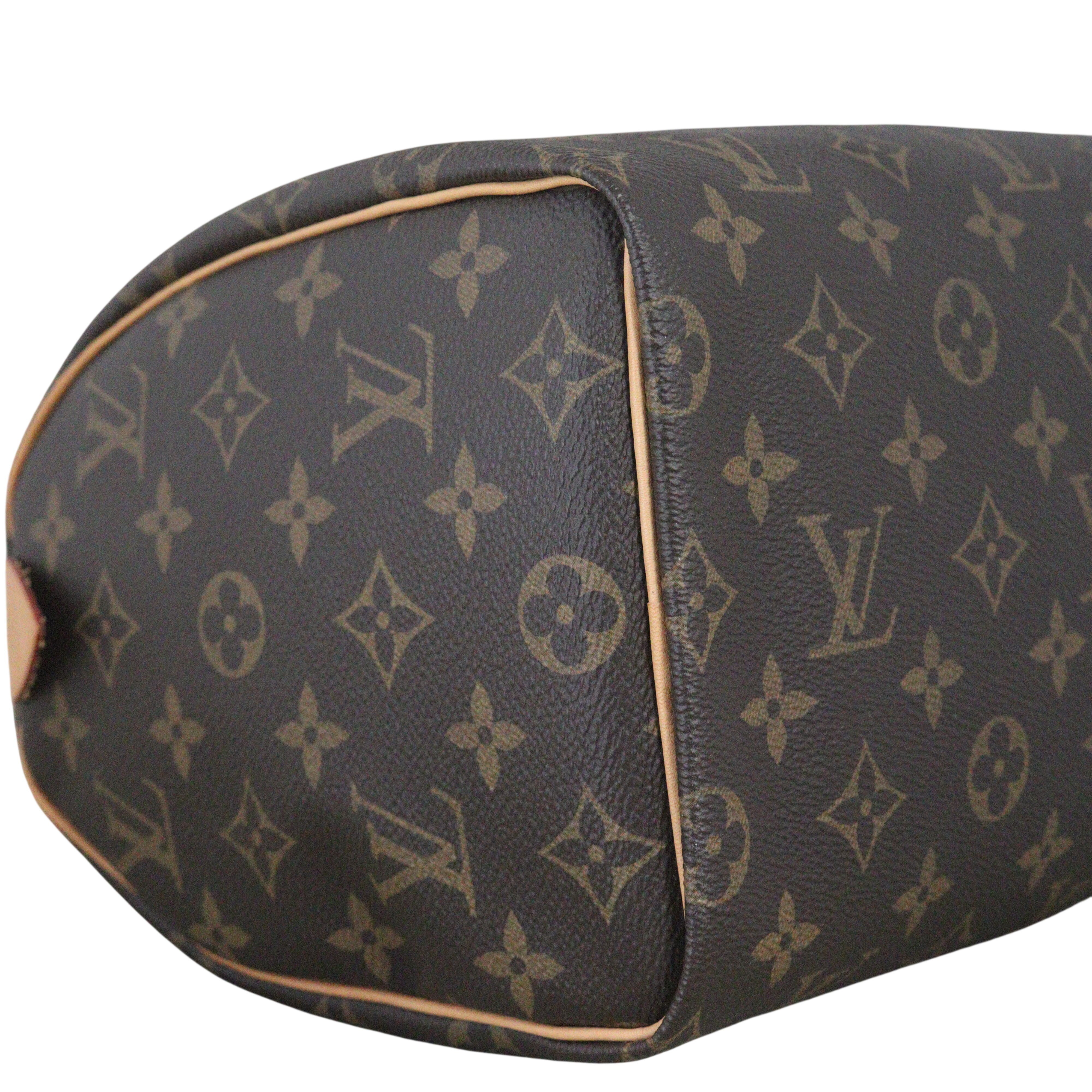 Louis Vuitton Speedy 25 Monogram