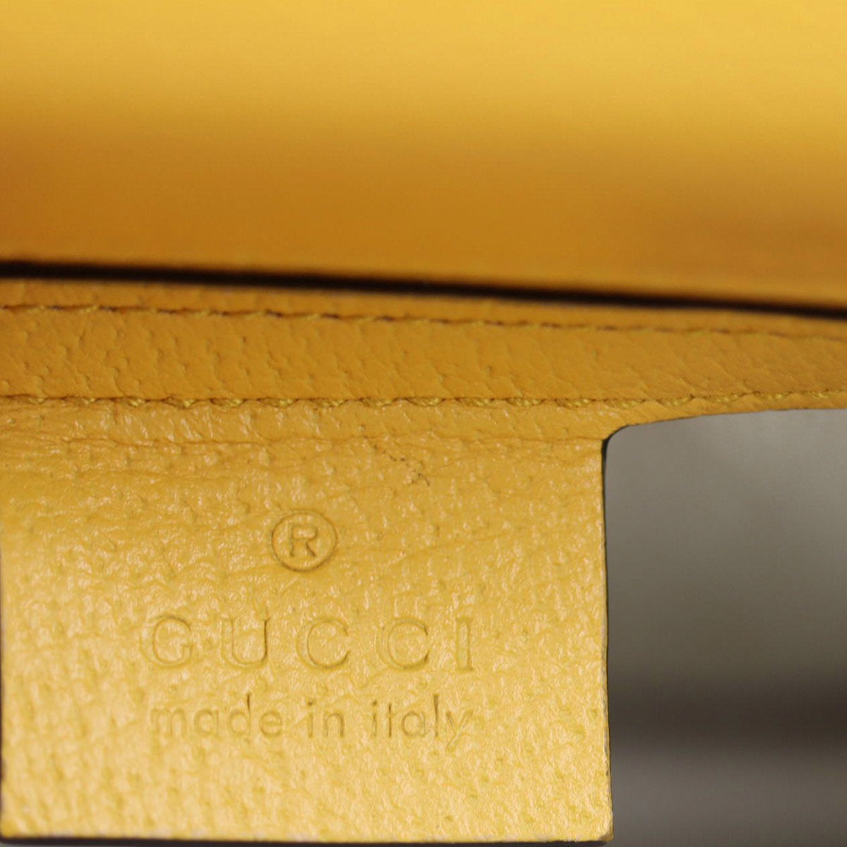 Gucci Animalier Web Leather Chain Shoulder Bag