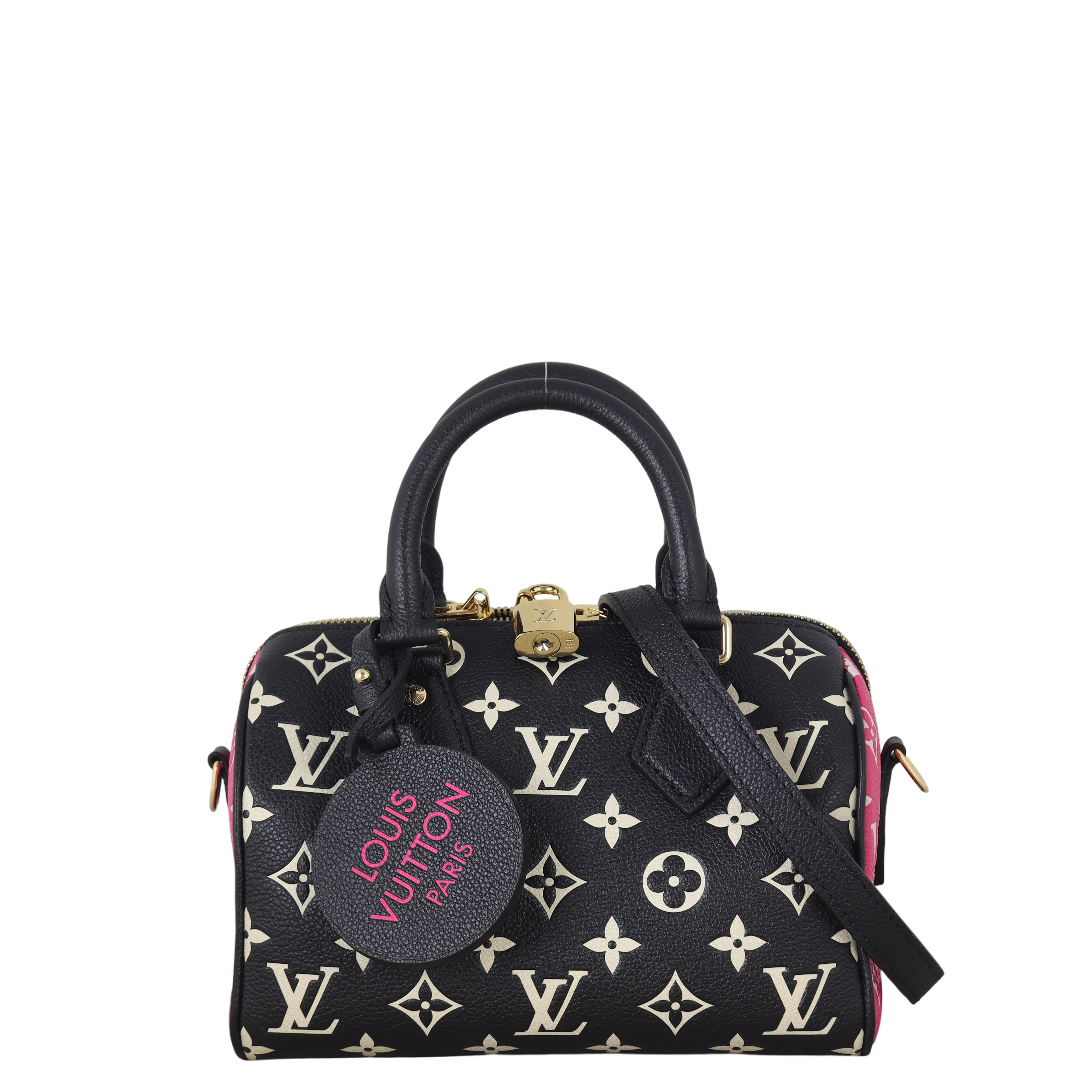 Louis Vuitton Speedy 20 Bandouliere Monogram Spring in the City