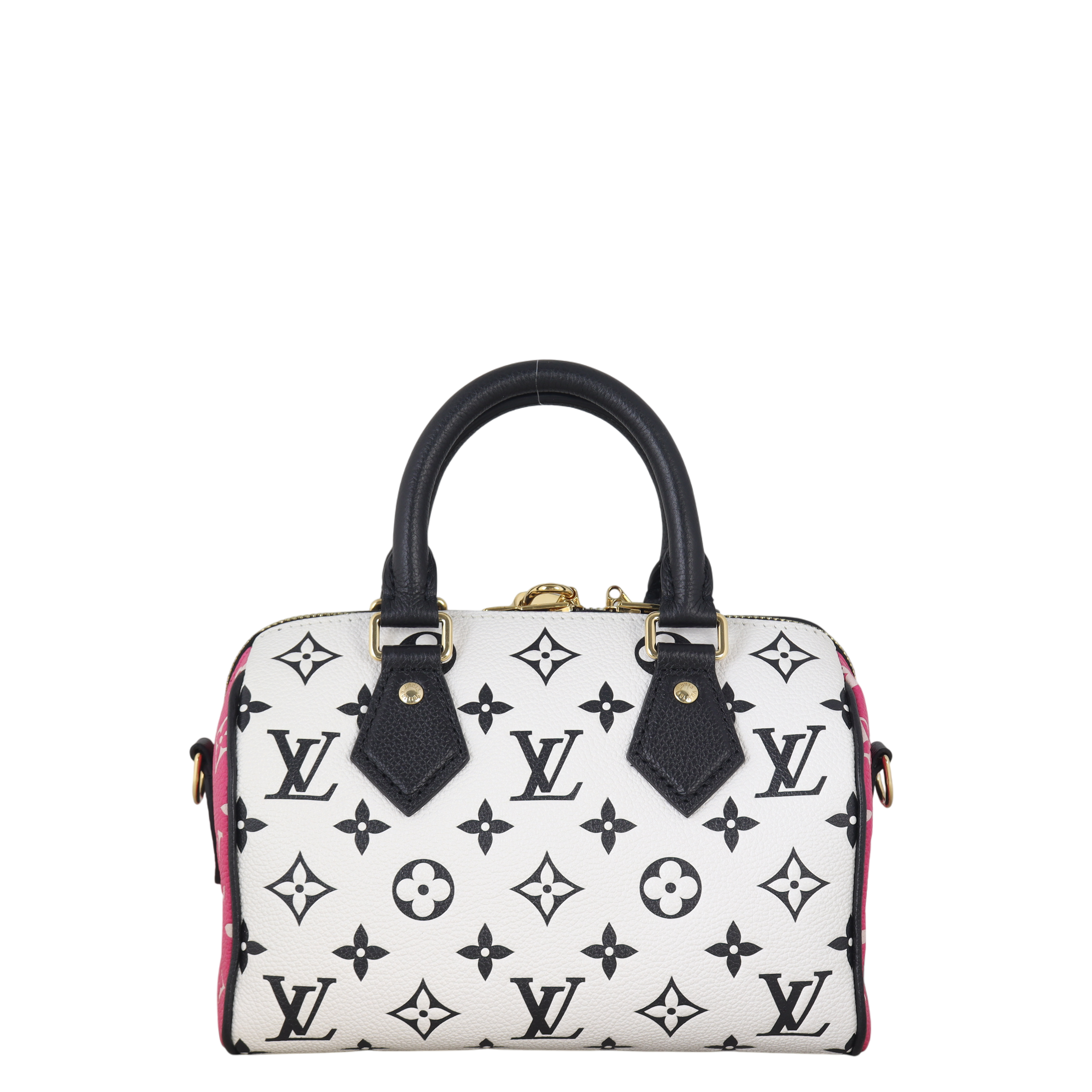 Louis Vuitton Speedy 20 Bandouliere Monogram Spring in the City