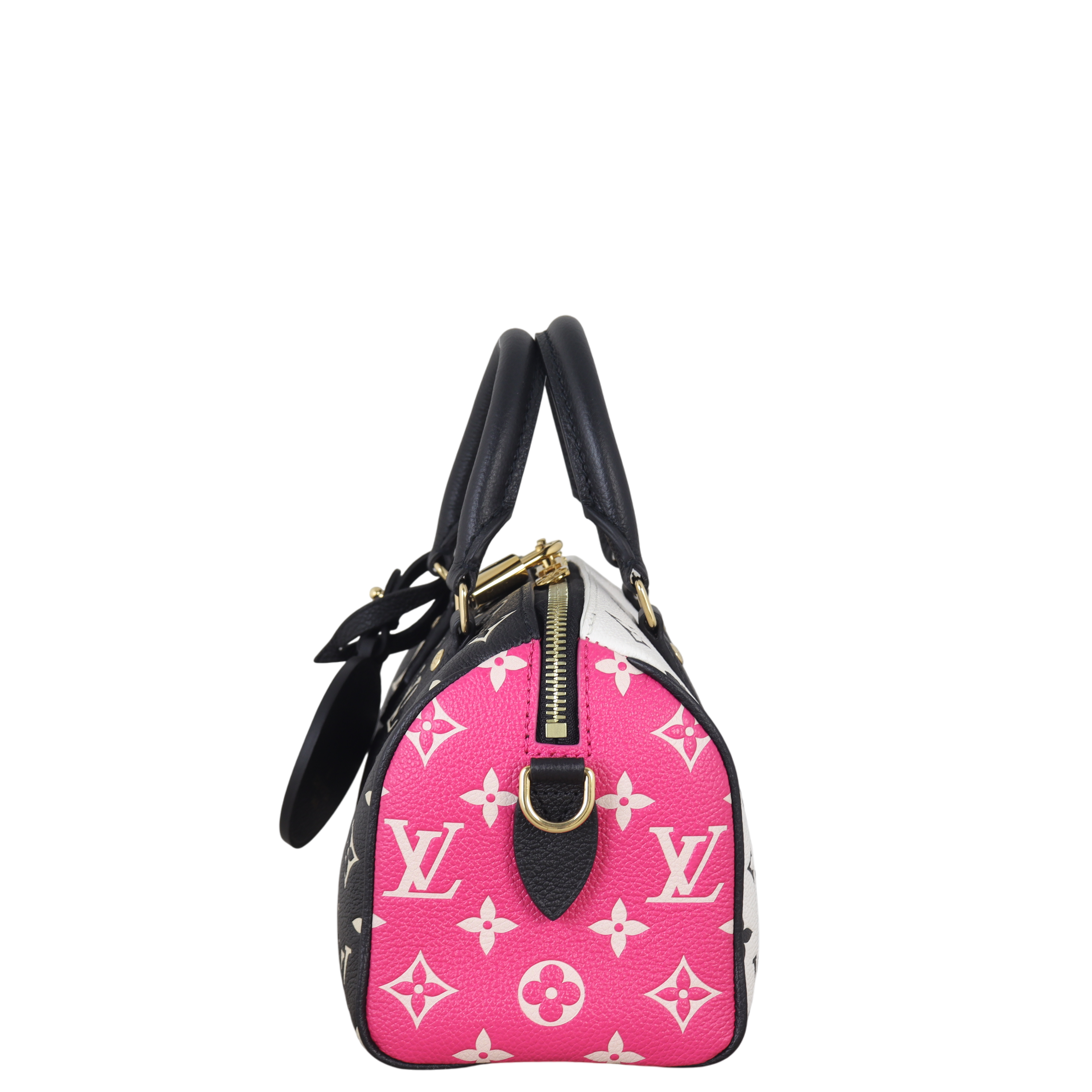 Louis Vuitton Speedy 20 Bandouliere Monogram Spring in the City