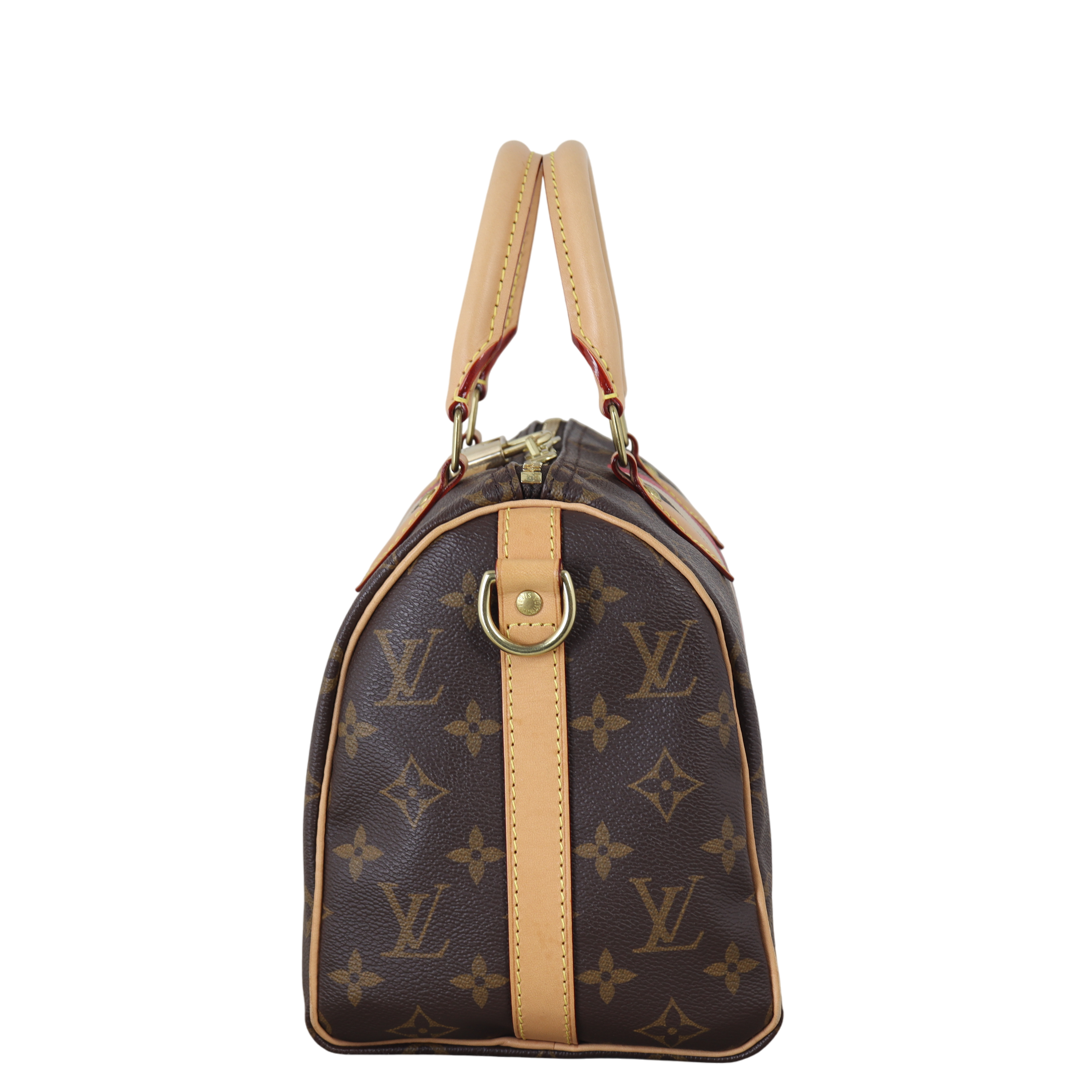 Louis Vuitton Speedy 25 Bandouliere Monogram My LV Heritage