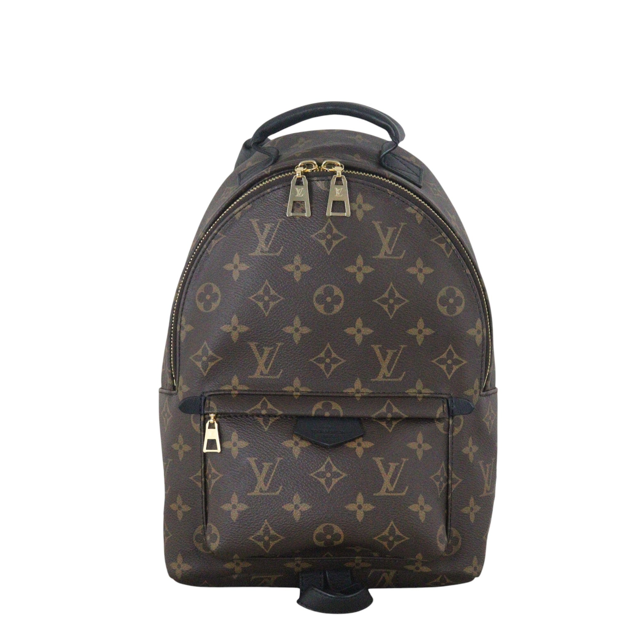 Louis Vuitton Palm Springs Backpack PM Monogram