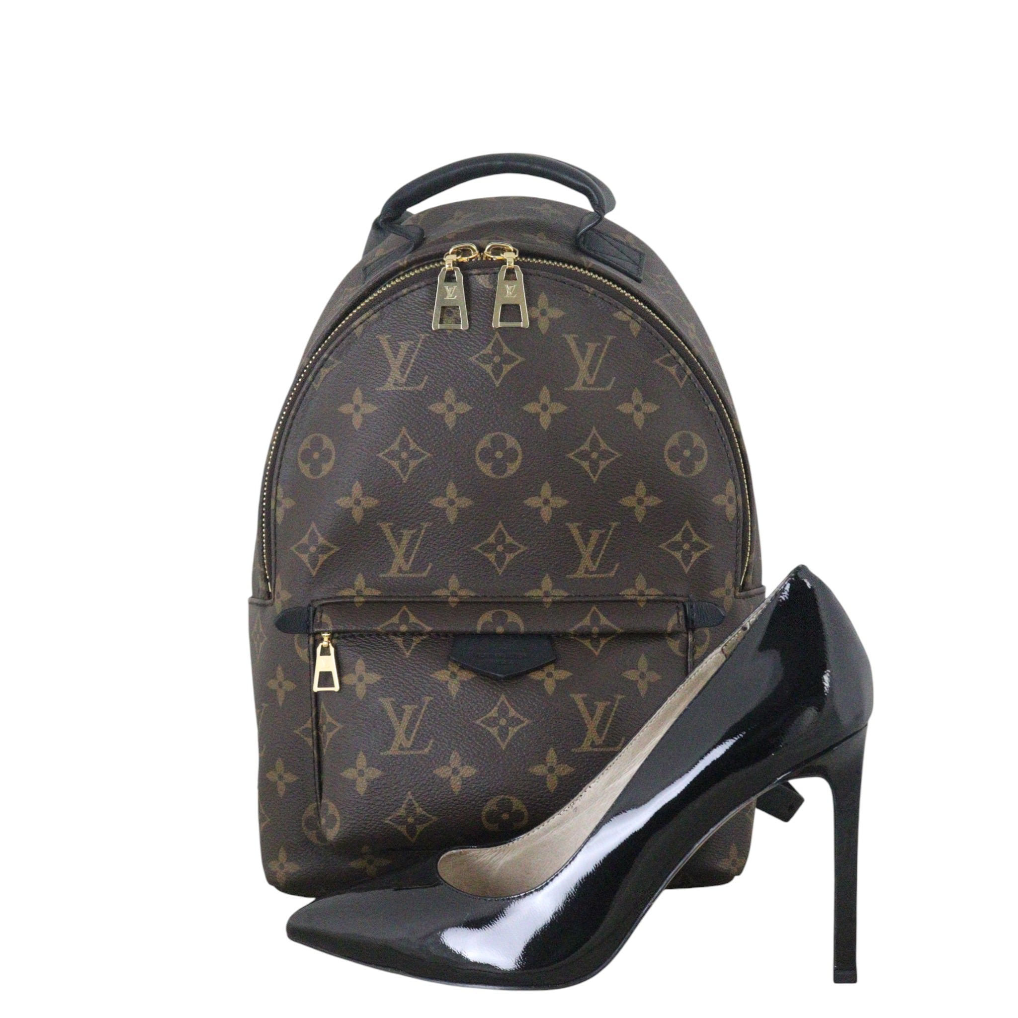 Louis Vuitton Palm Springs Backpack PM Monogram