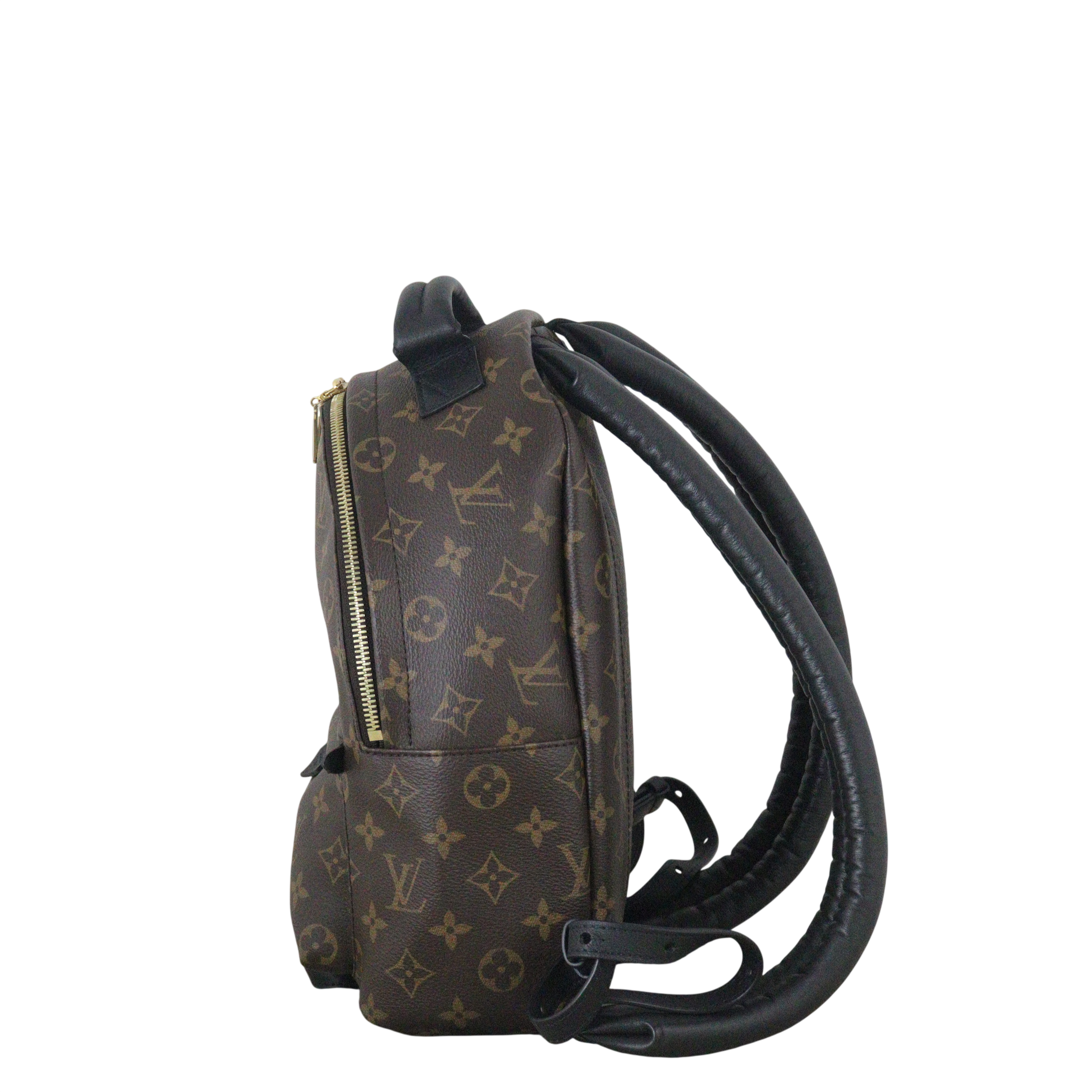 Louis Vuitton Palm Springs Backpack PM Monogram