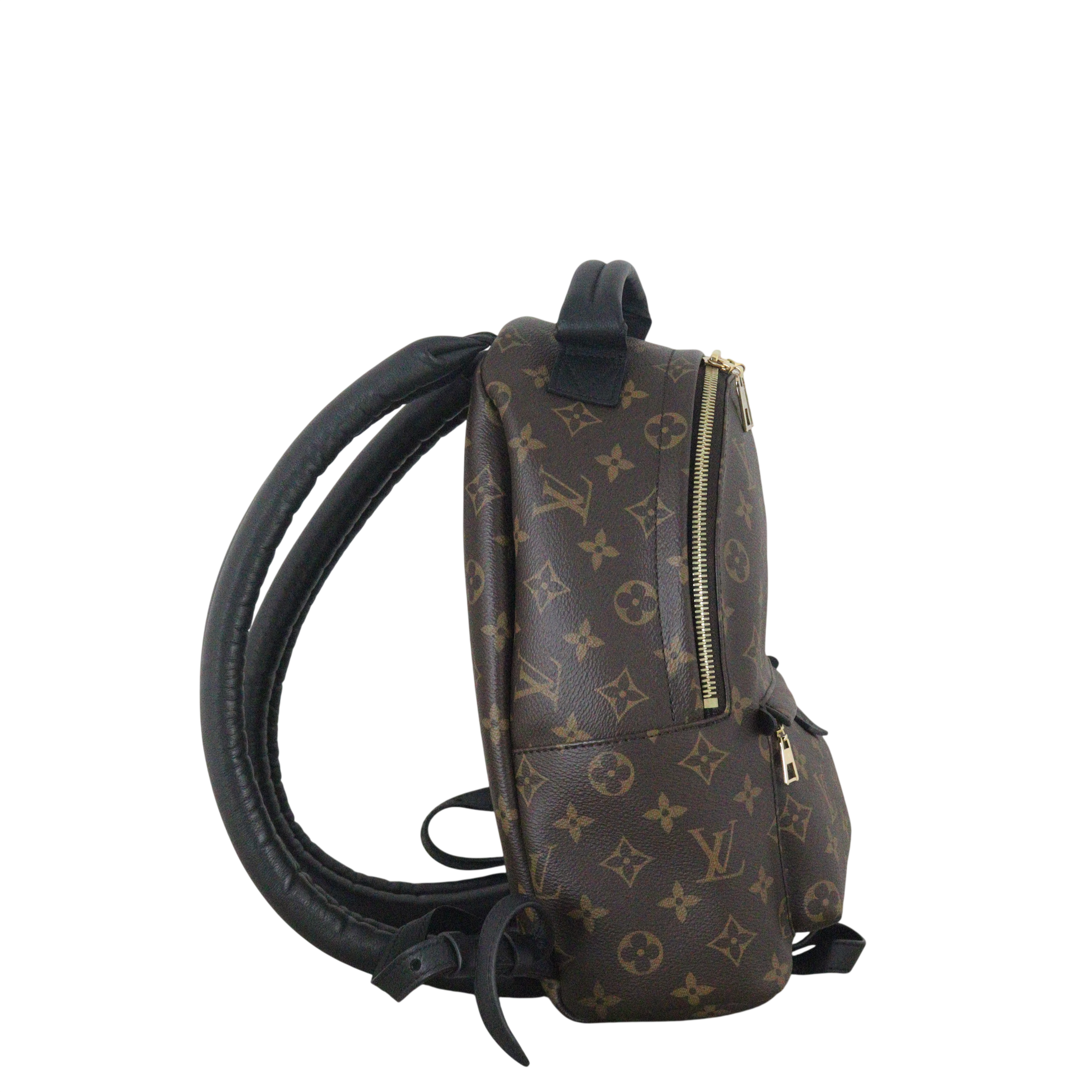 Louis Vuitton Palm Springs Backpack PM Monogram