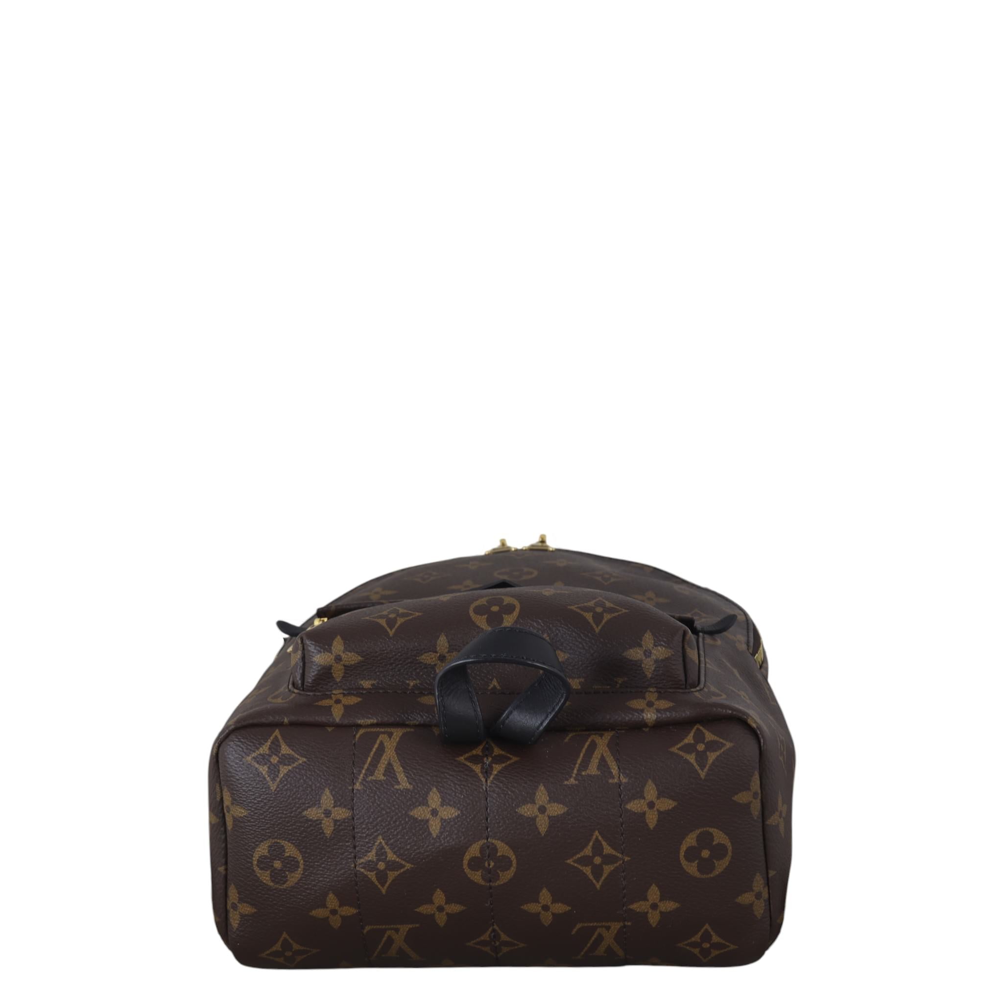 Louis Vuitton Palm Springs Backpack PM Monogram