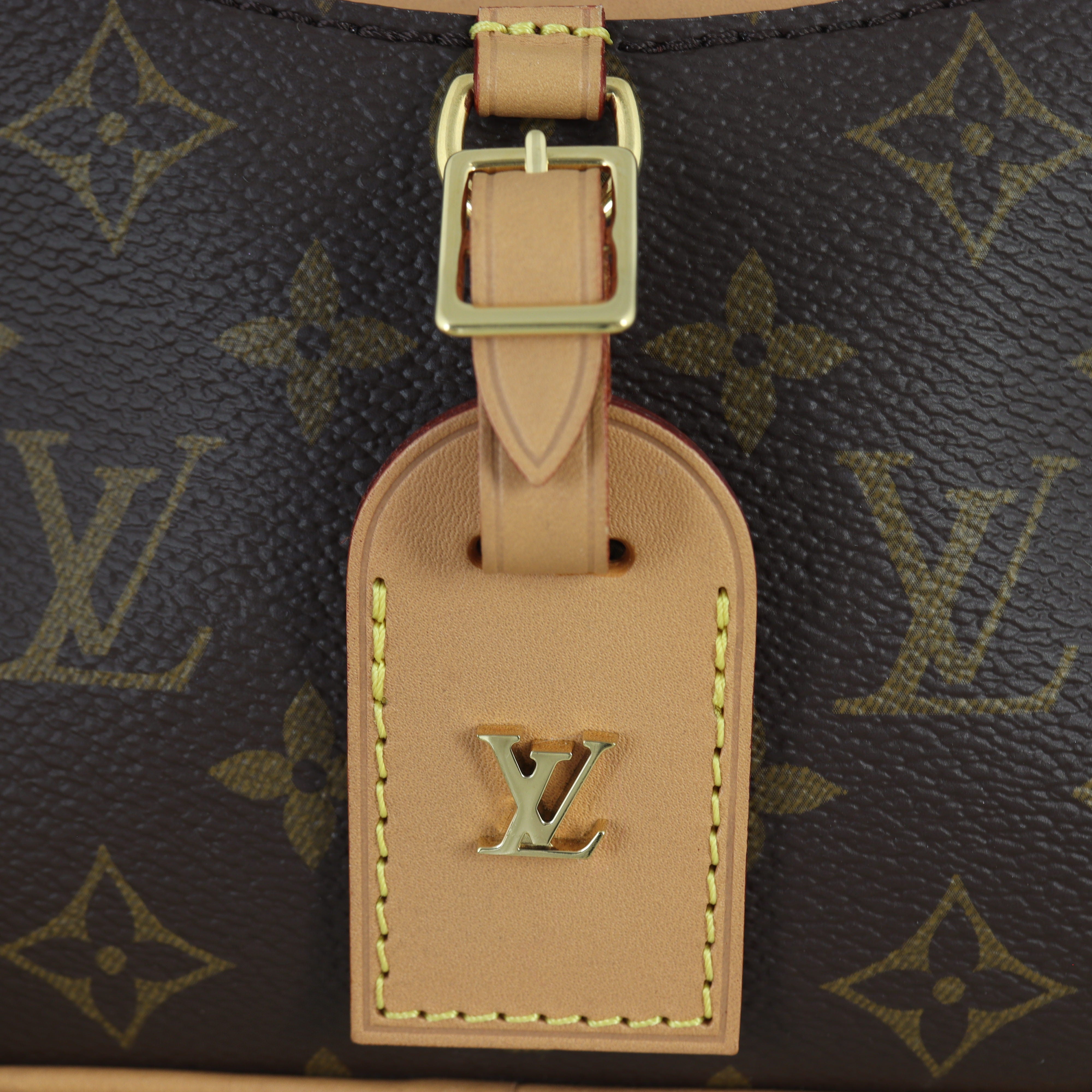 Louis Vuitton Deauville Mini Monogram