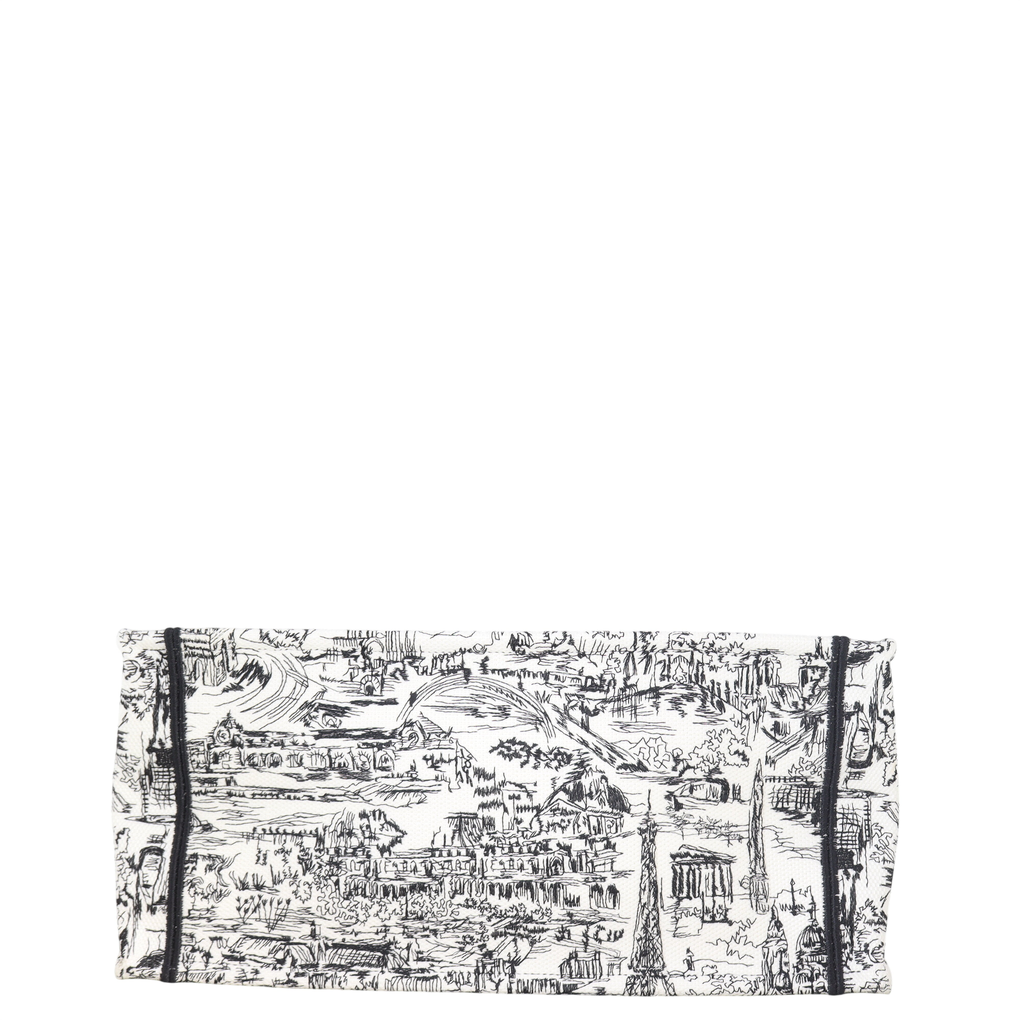 Dior Book Tote Medium Paris All Over