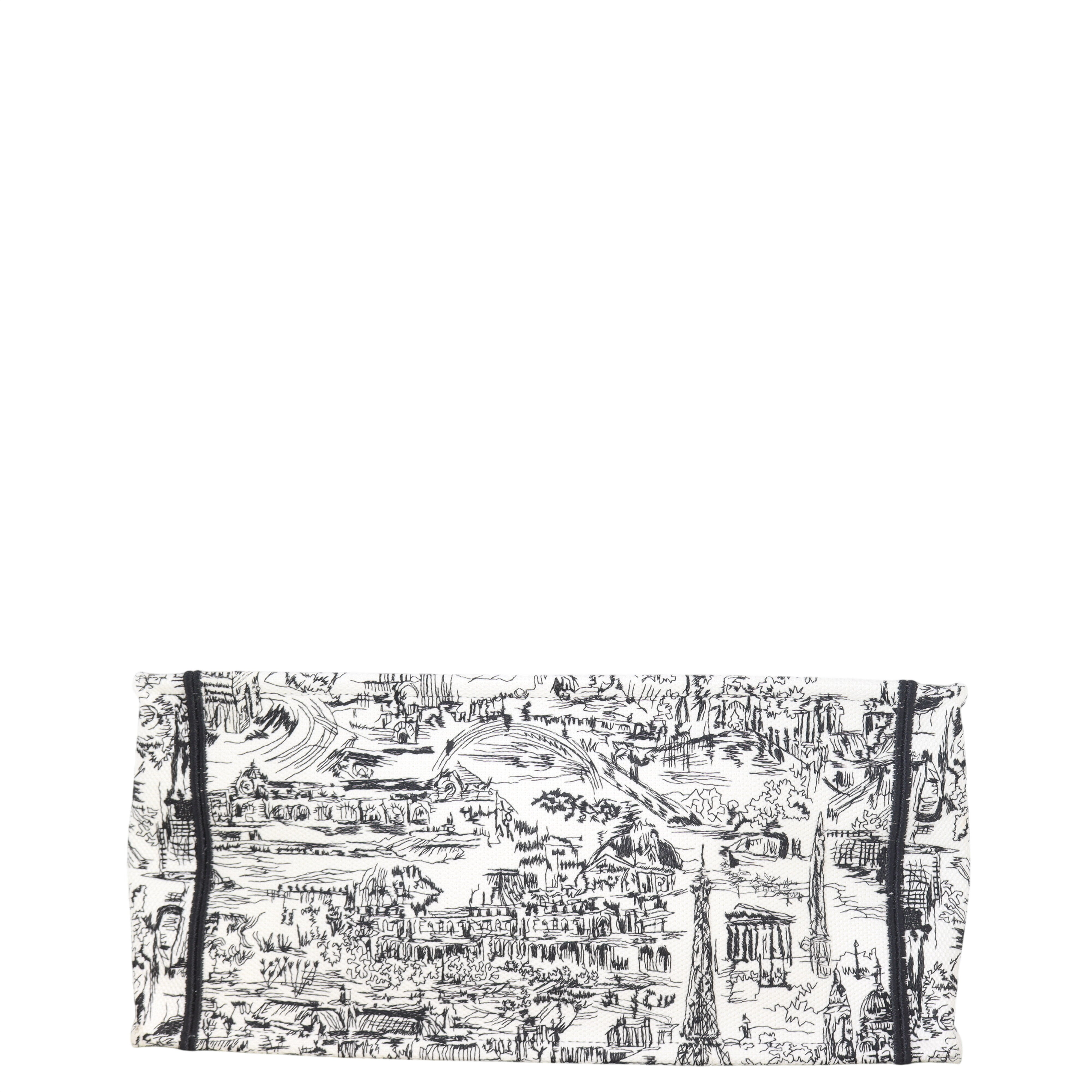 Dior Book Tote Medium Paris All Over