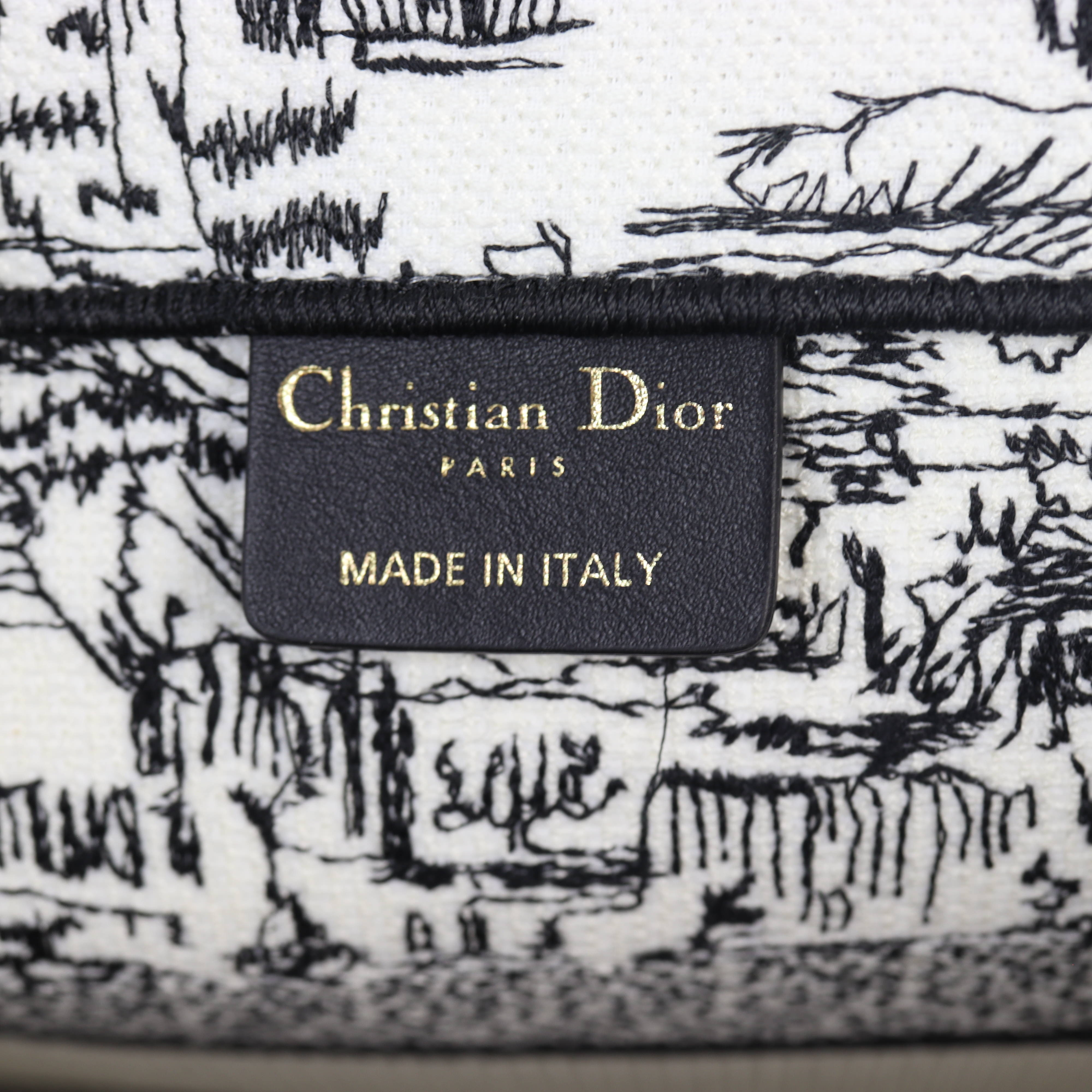 Dior Book Tote Medium Paris All Over