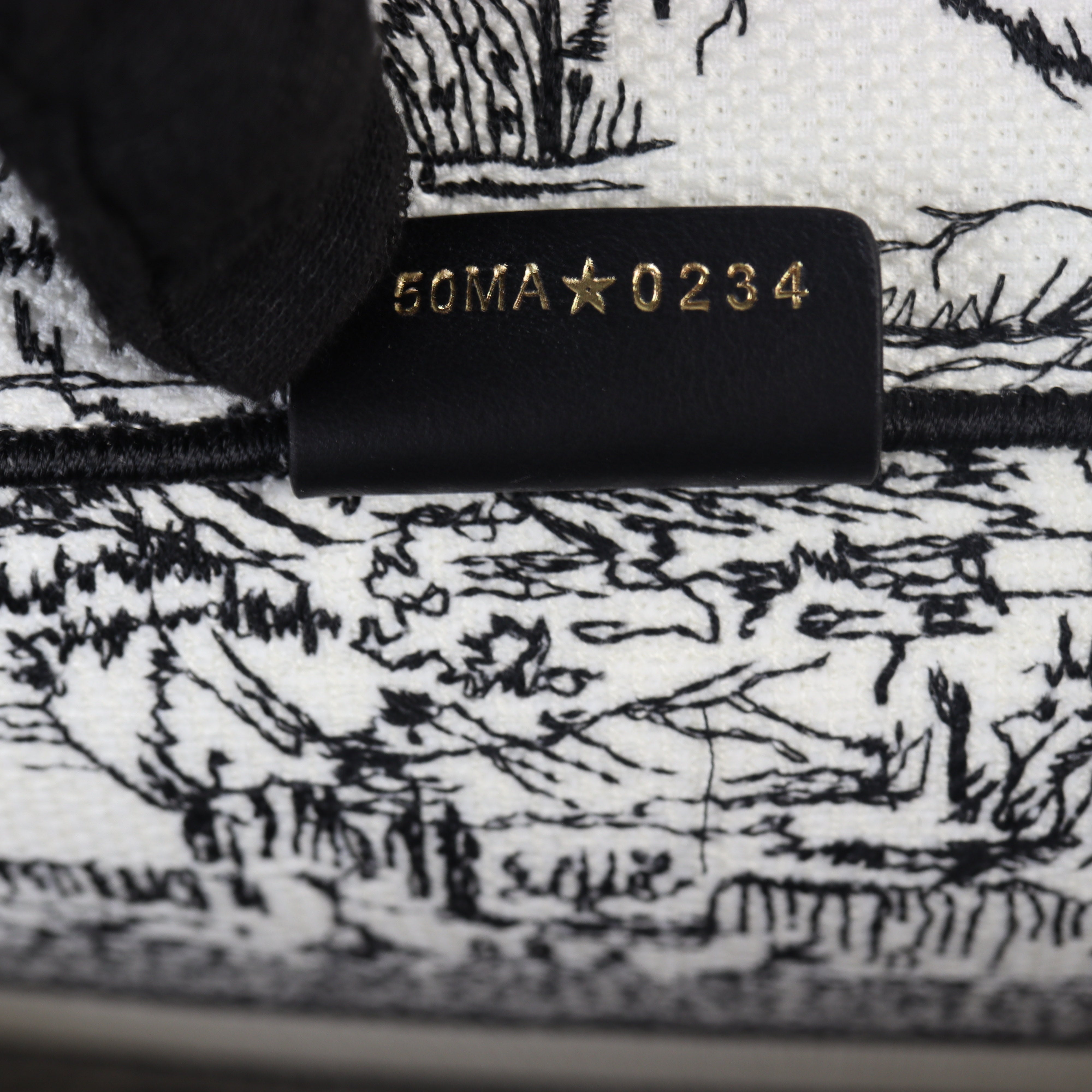 Dior Book Tote Medium Paris All Over