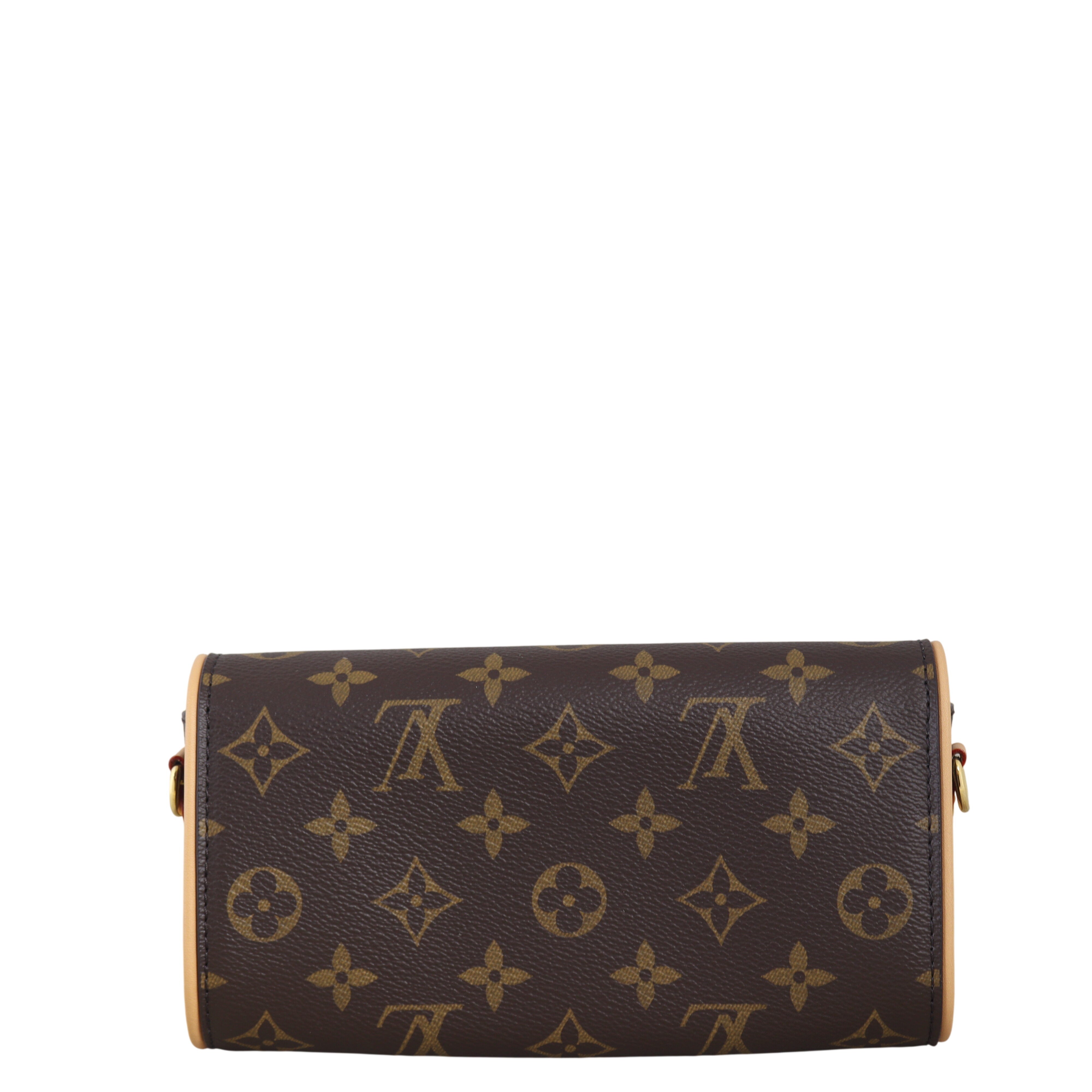 Louis Vuitton Camille Pochette Monogram