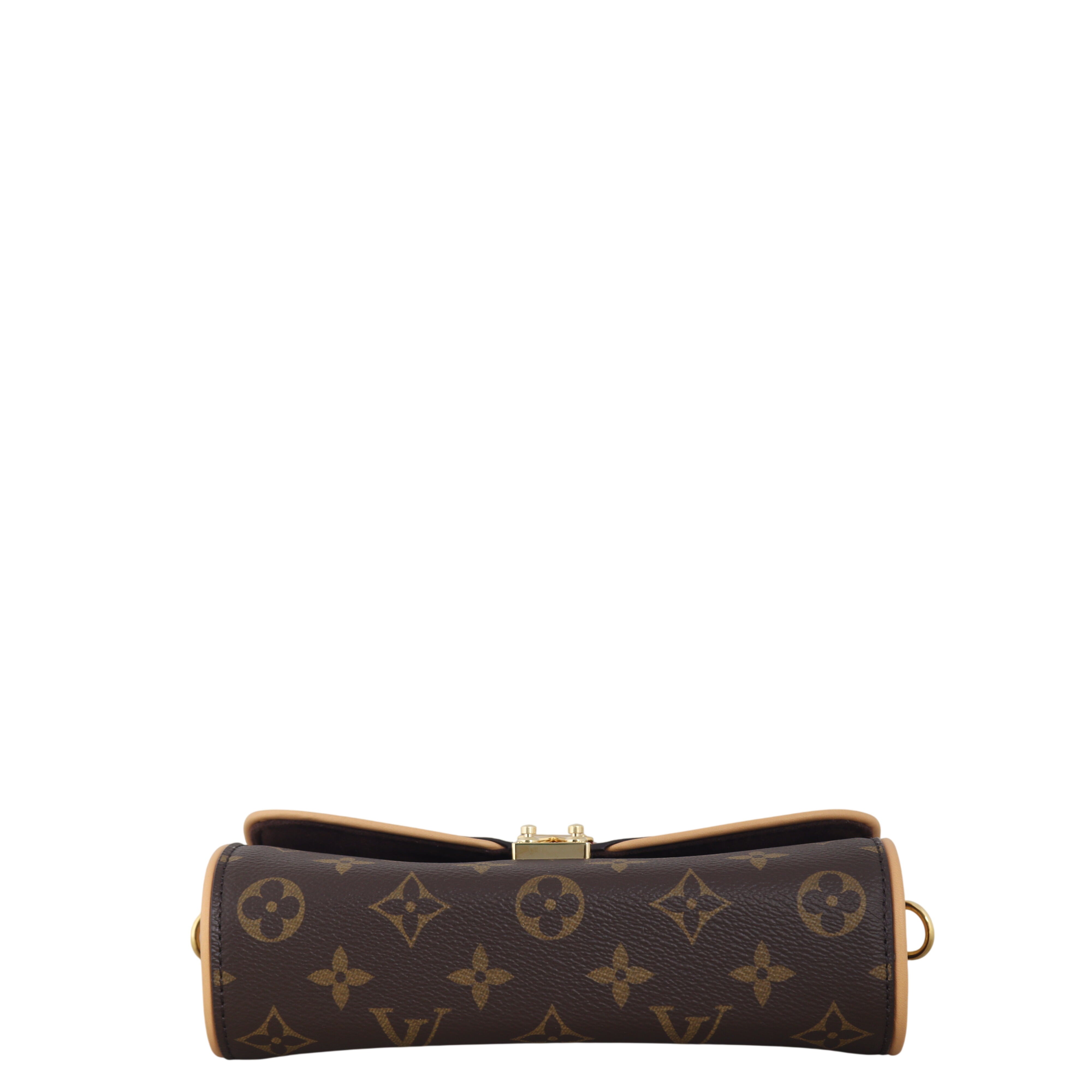 Louis Vuitton Camille Pochette Monogram