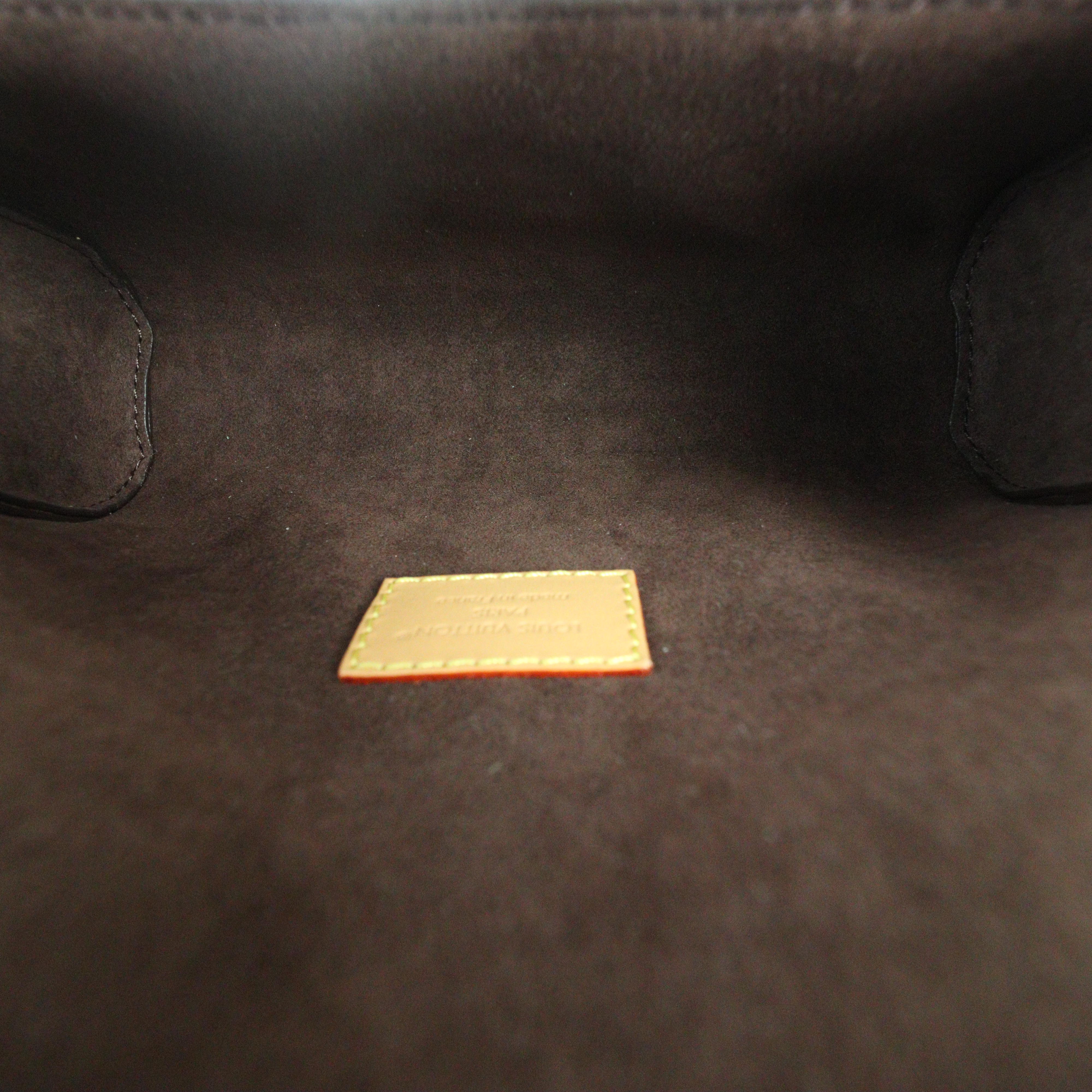 Louis Vuitton Camille Pochette Monogram