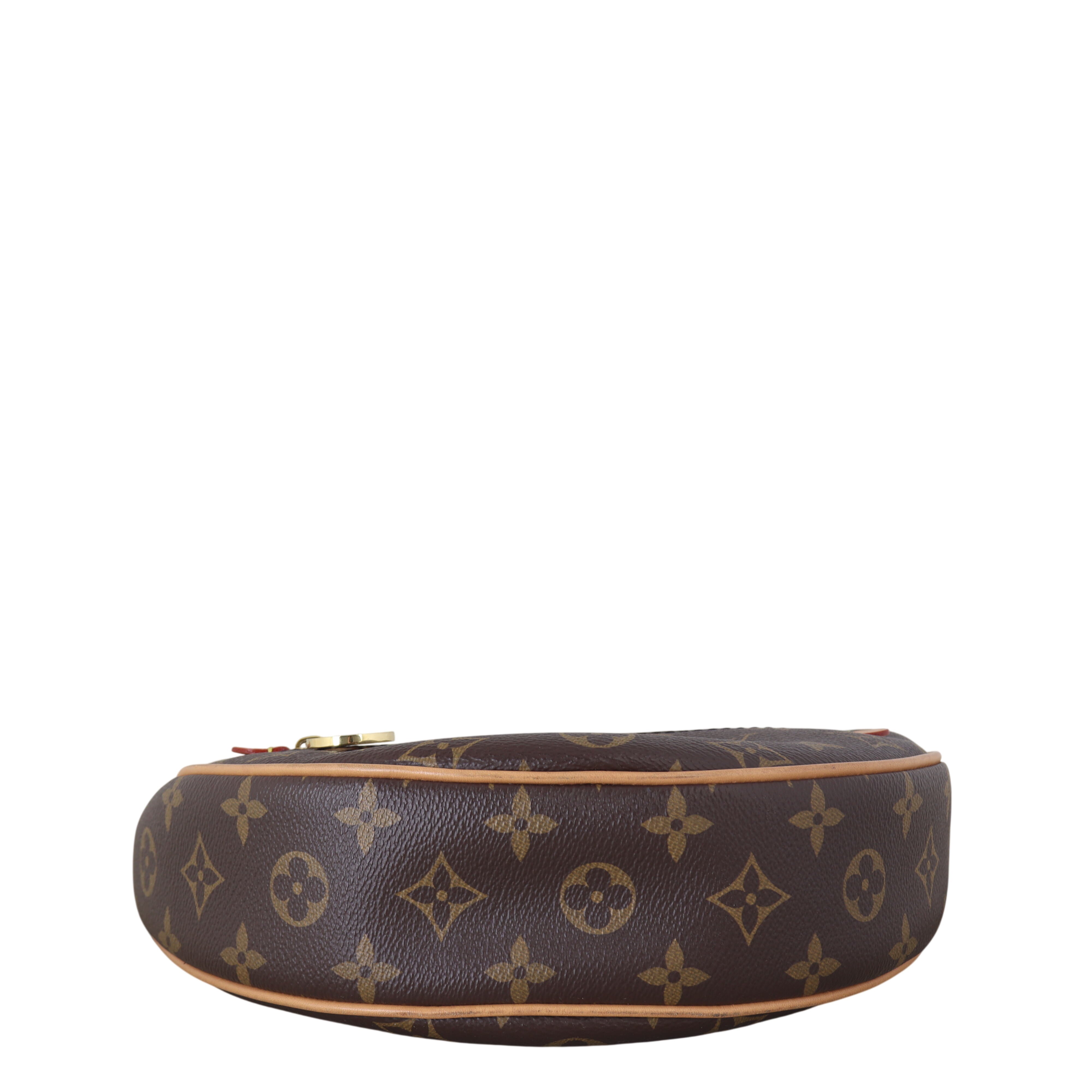 Louis Vuitton Loop PM Monogram