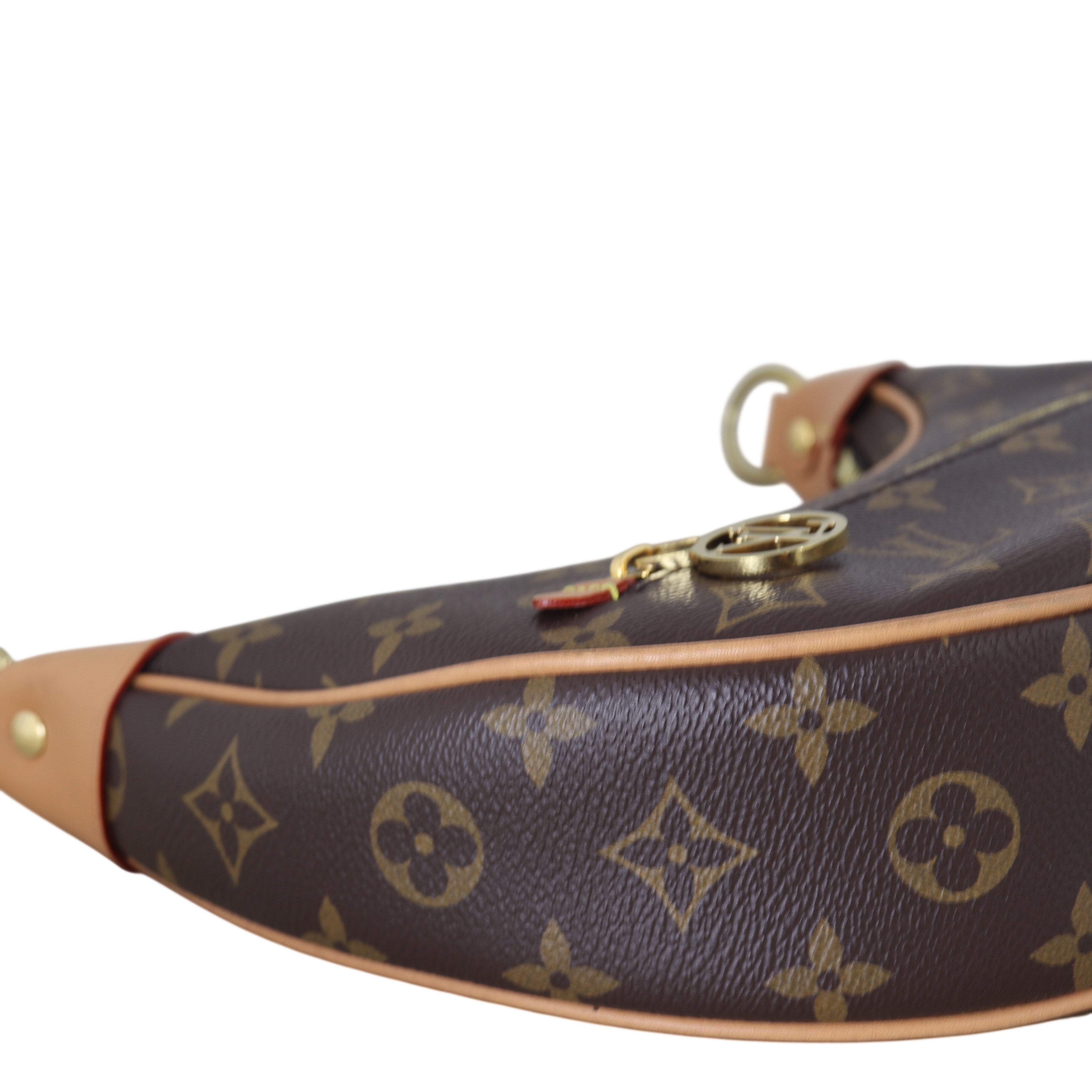 Louis Vuitton Loop PM Monogram