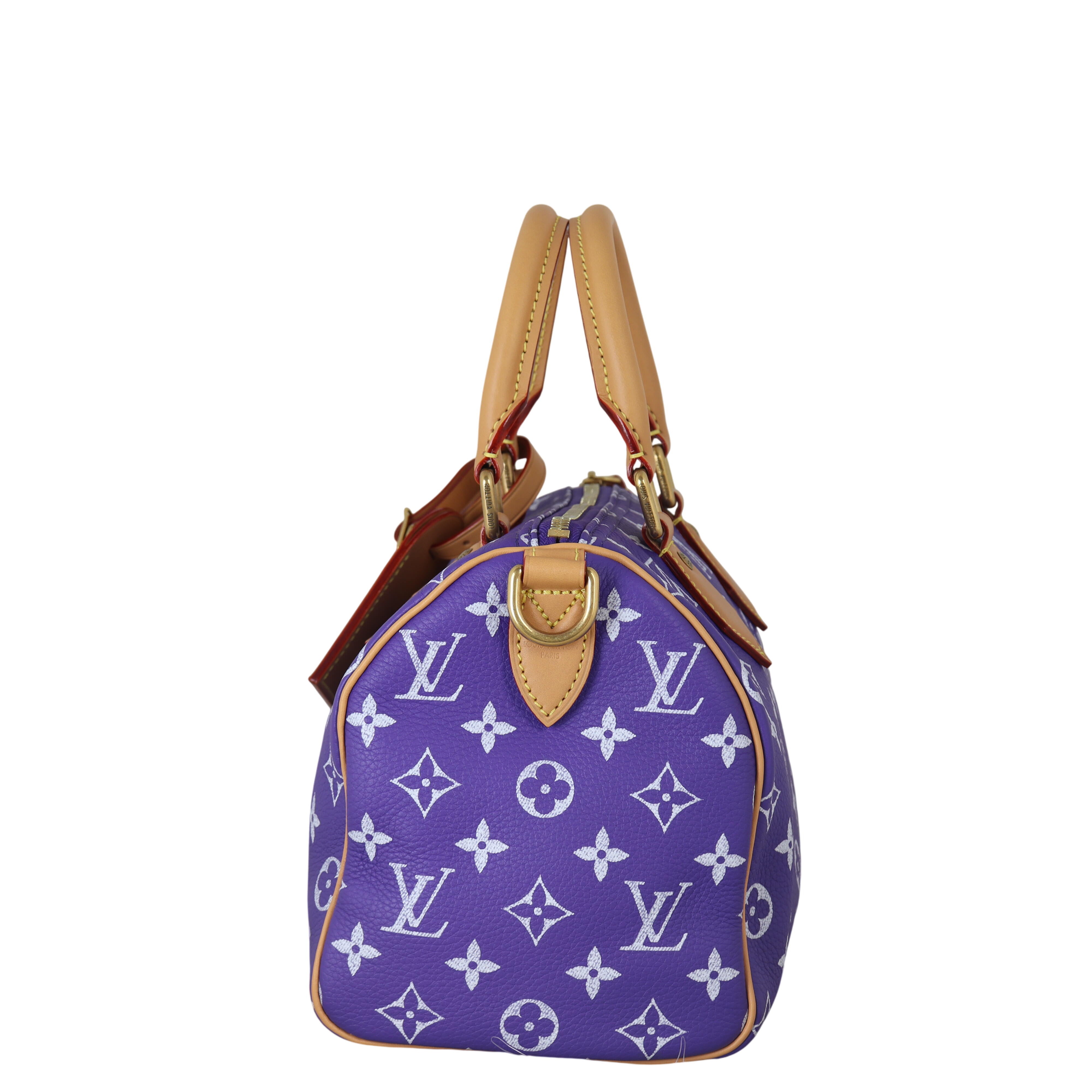 Louis Vuitton Speedy P9 25 Bandouliere Monogram