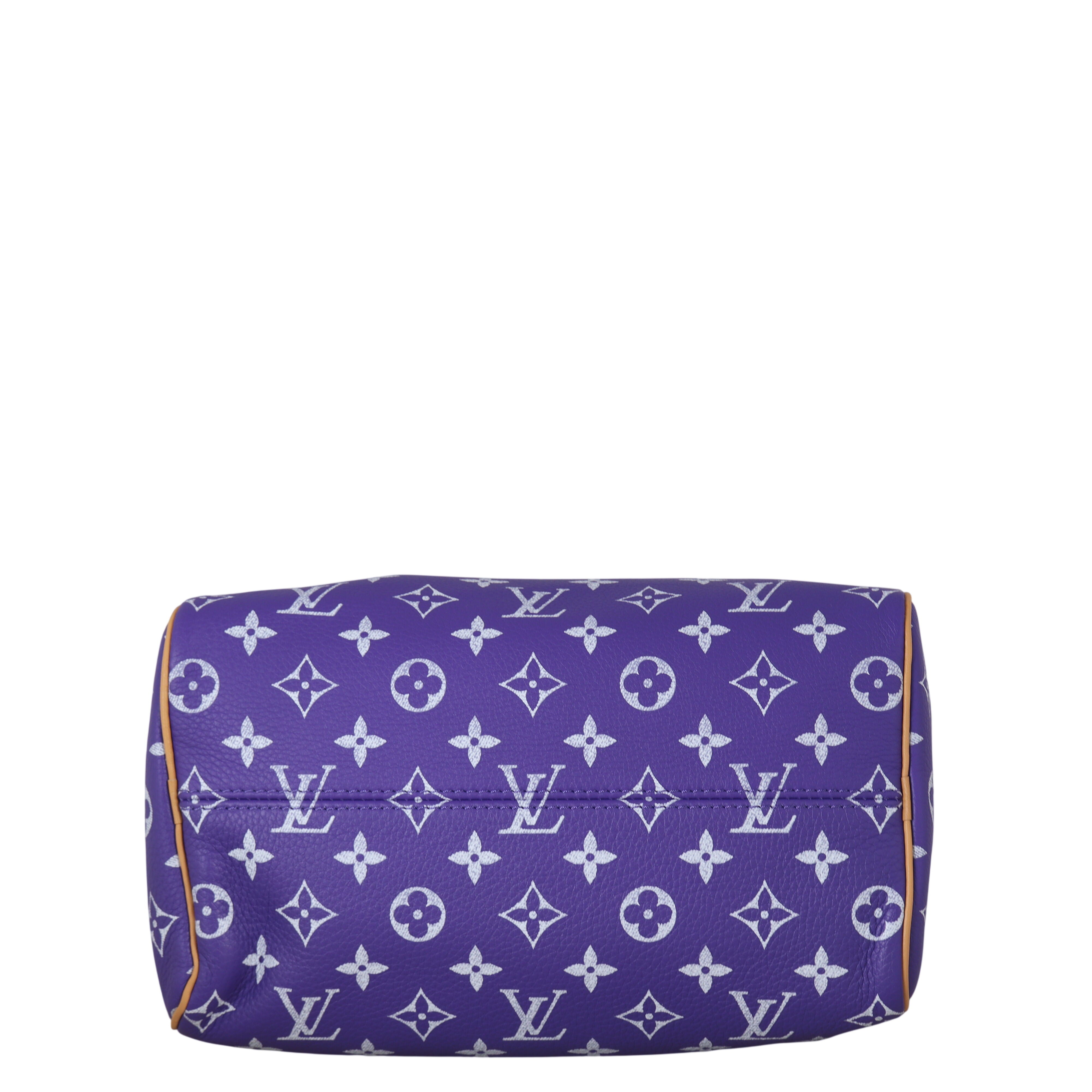 Louis Vuitton Speedy P9 25 Bandouliere Monogram