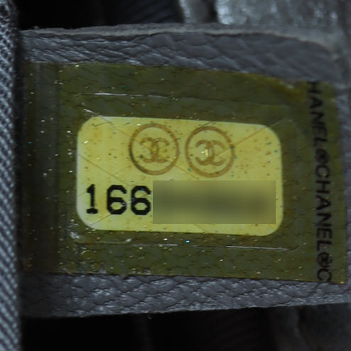 Chanel Boy Small Galuchat Date Code