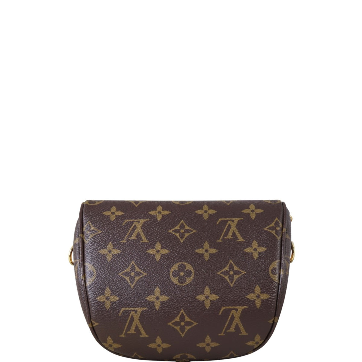 Louis Vuitton Mini Bumbag Monogram