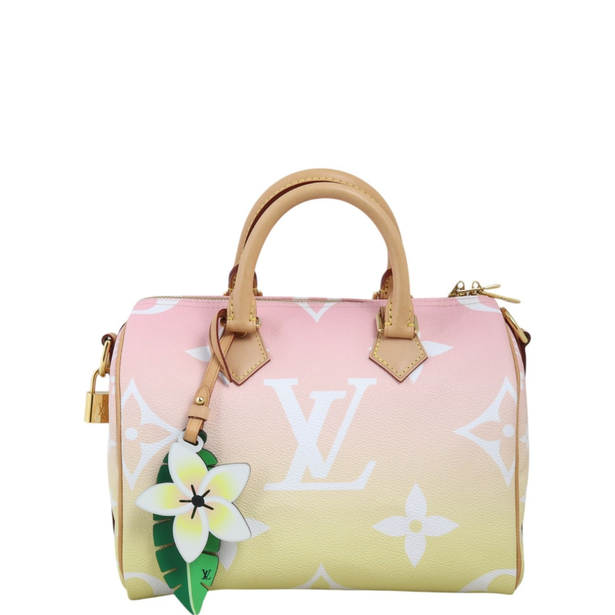 Louis Vuitton Speedy 25 Bandouliere Monogram By The Pool
