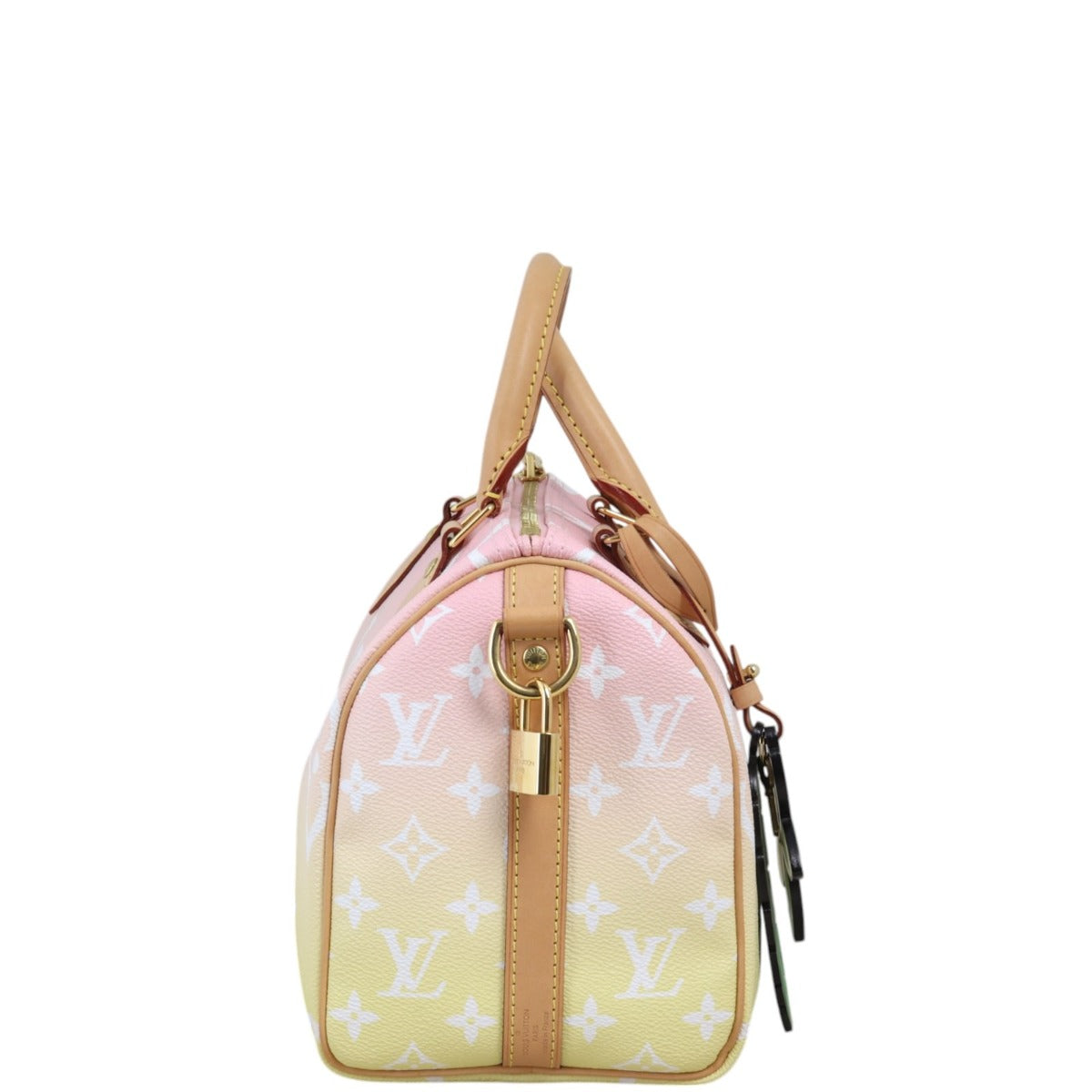 Louis Vuitton Speedy 25 Bandouliere Monogram By The Pool