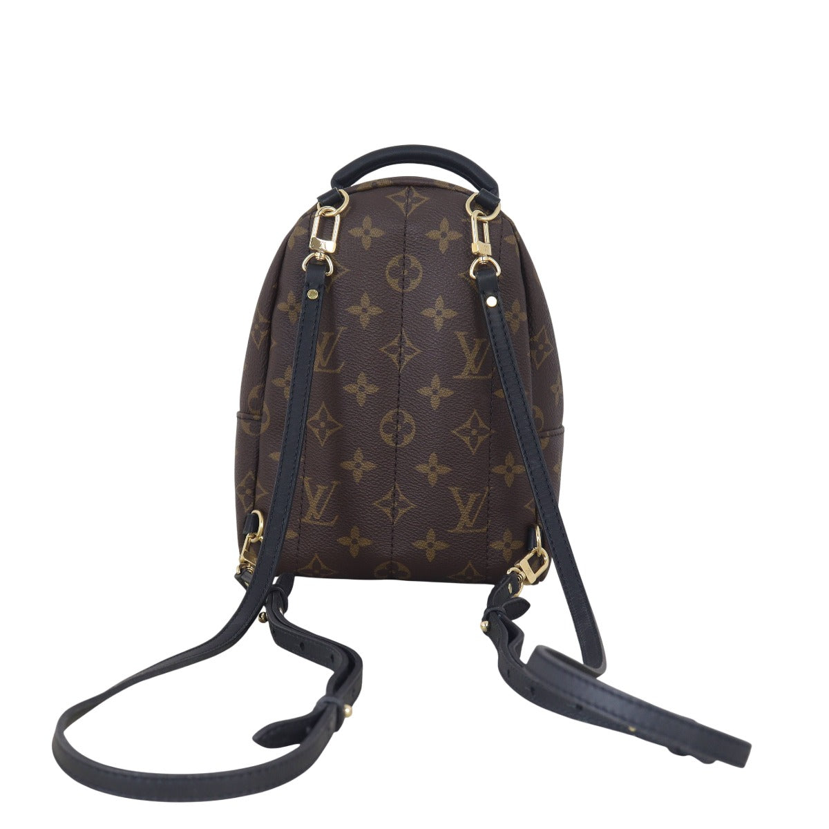 Louis Vuitton Palm Springs Mini Backpack Monogram
