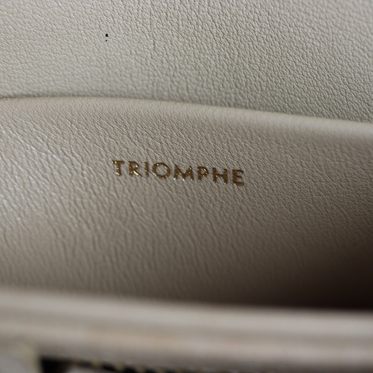 Celine Teen Triomphe Crossbody