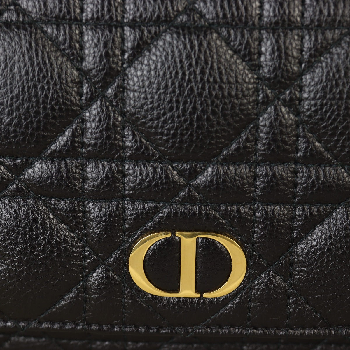 Dior Caro Belt Pouch