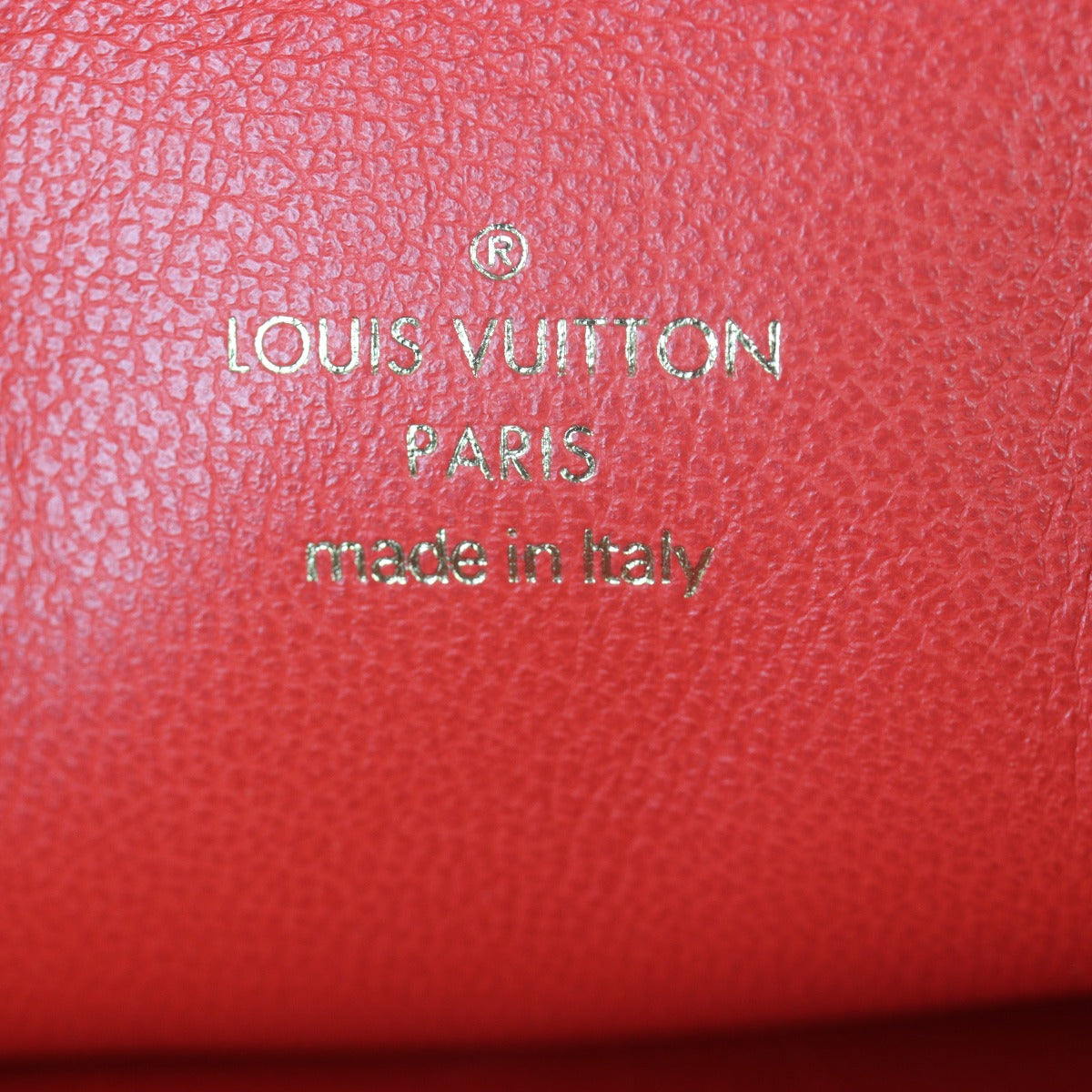 Louis Vuitton Coussin PM Monogram Embossed Lambskin