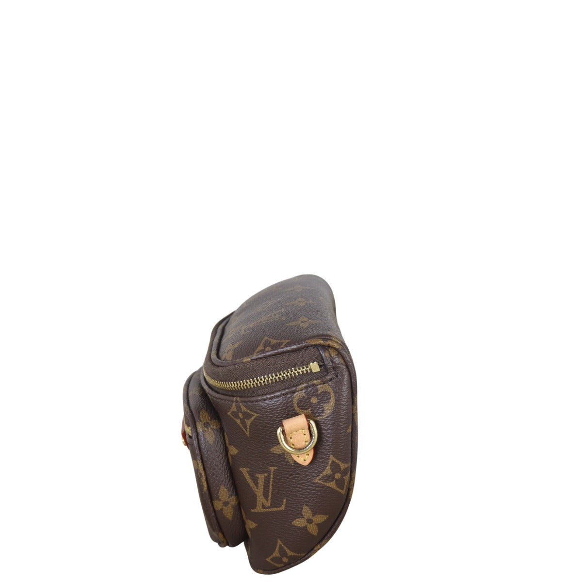 Louis Vuitton Mini Bumbag Monogram