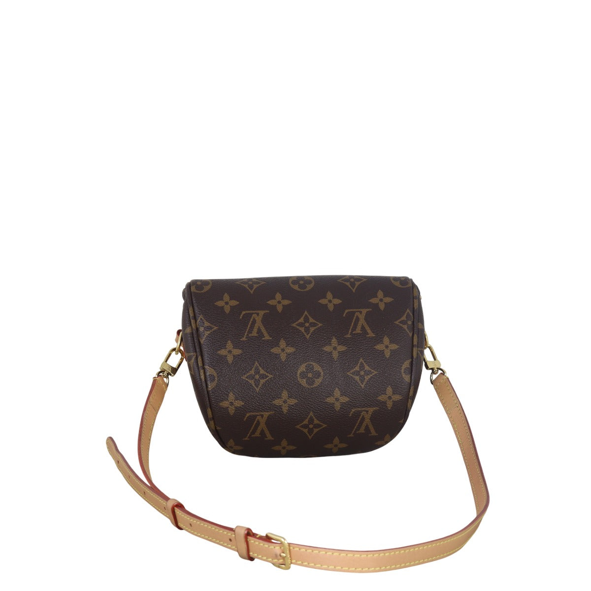 Louis Vuitton Mini Bumbag Monogram