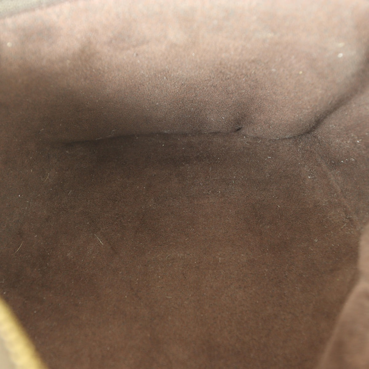 Louis Vuitton Mini Bumbag Monogram