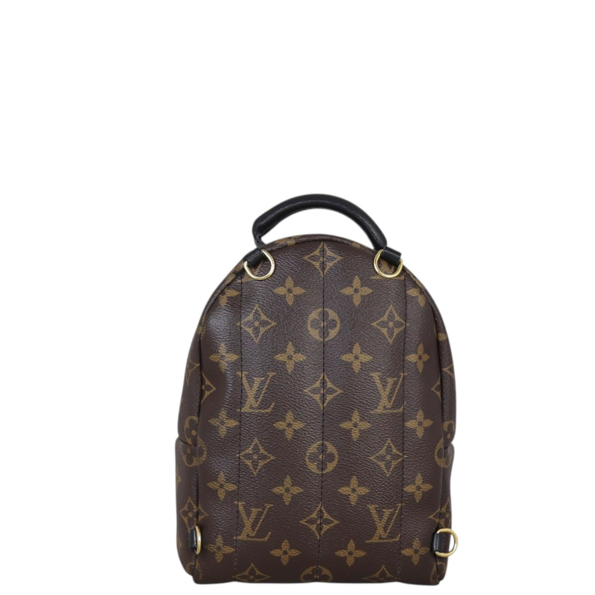 Louis Vuitton Palm Springs Mini Backpack Monogram