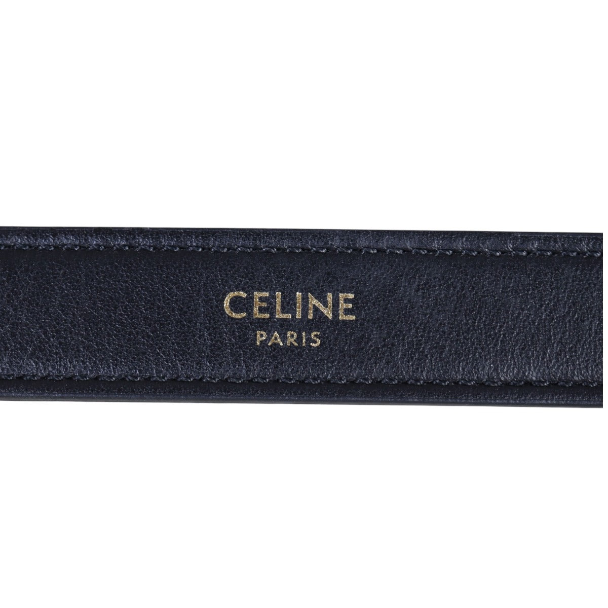 Celine Ava Triomphe Hobo Medium