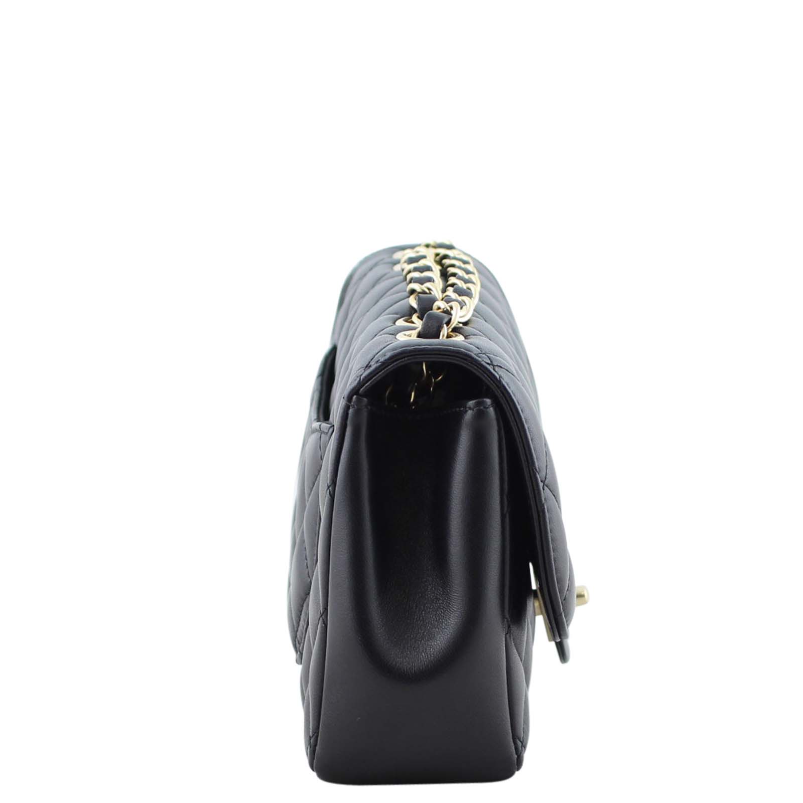 Chanel Quilted Diana Bag Left