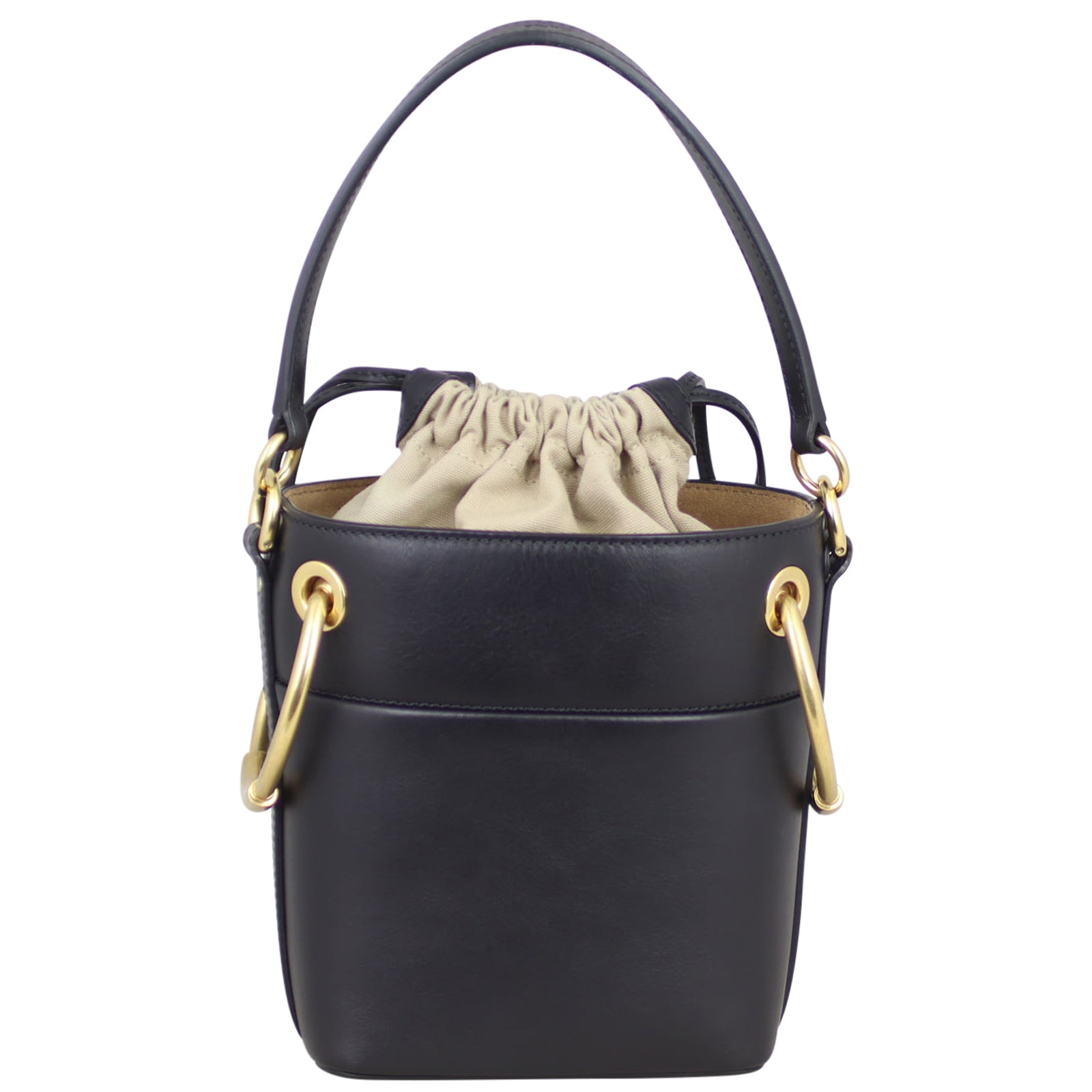 Chloe Roy Mini Bucket Bag Back