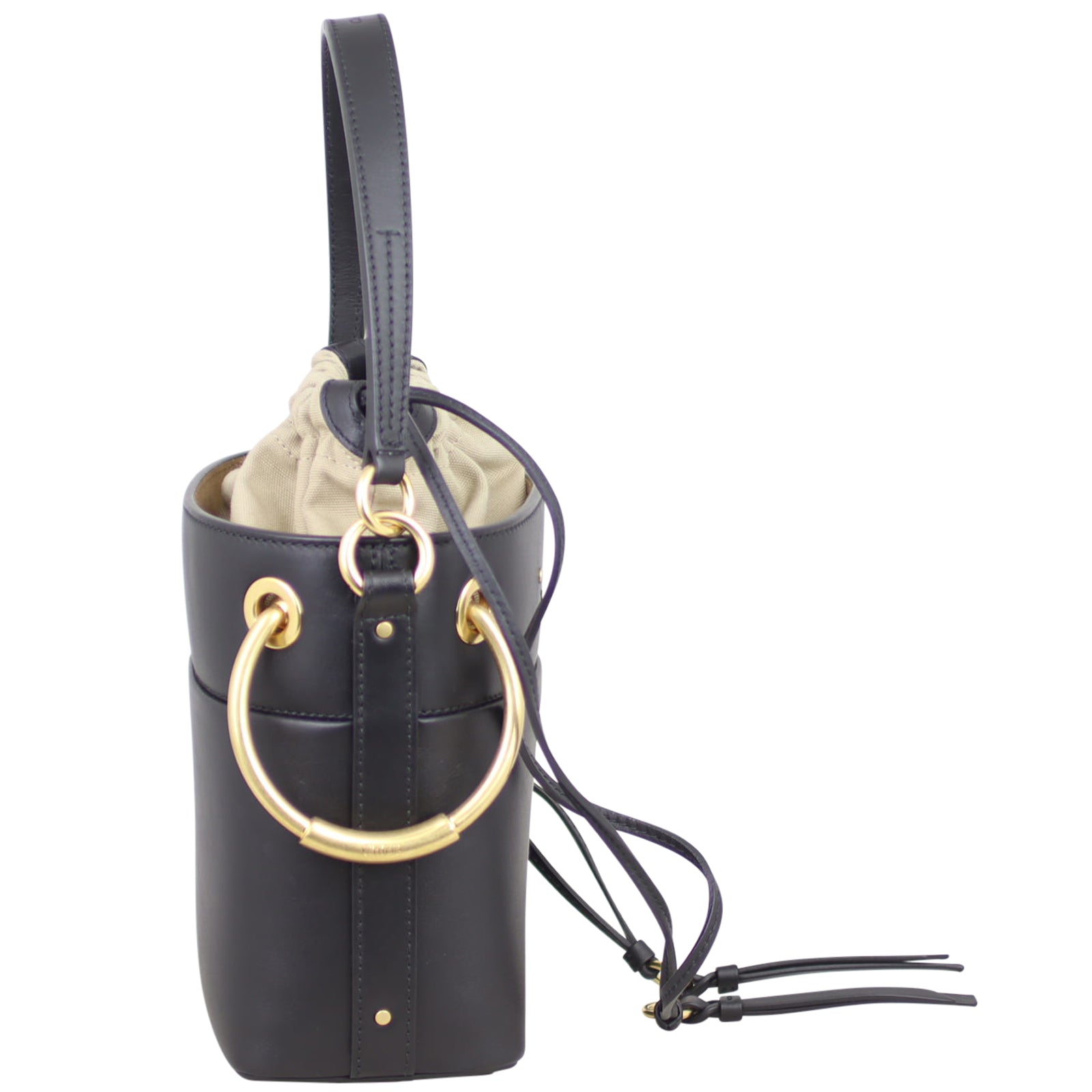 Chloe Roy Mini Bucket Bag Side