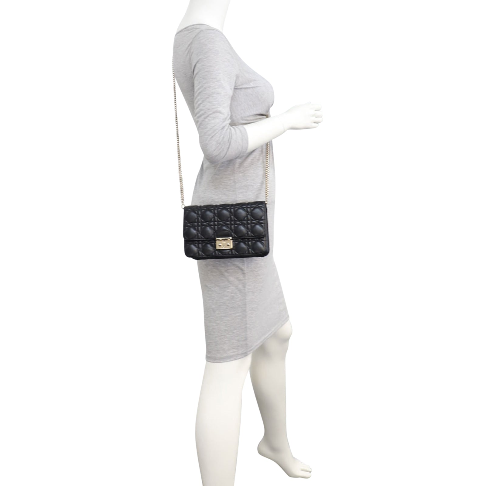 Dior Miss Dior Promenade Pouch Mannequin